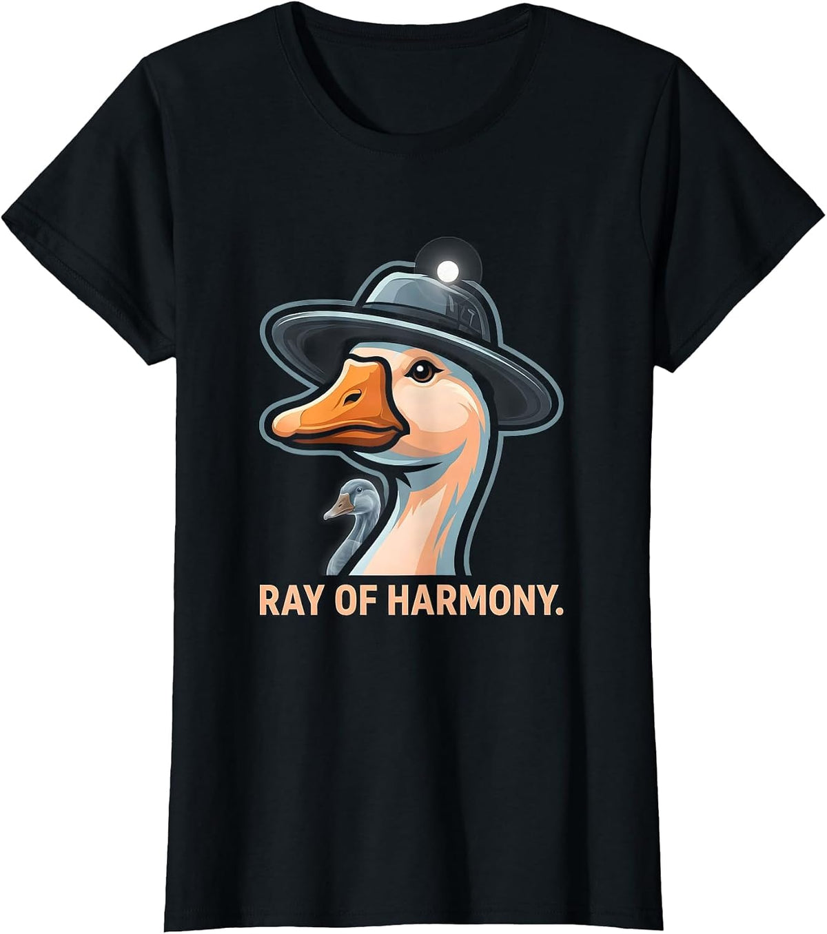 Ray of Harmony Funny Radiologic Technologist X-ray Tech Gift T-Shirt - Black
