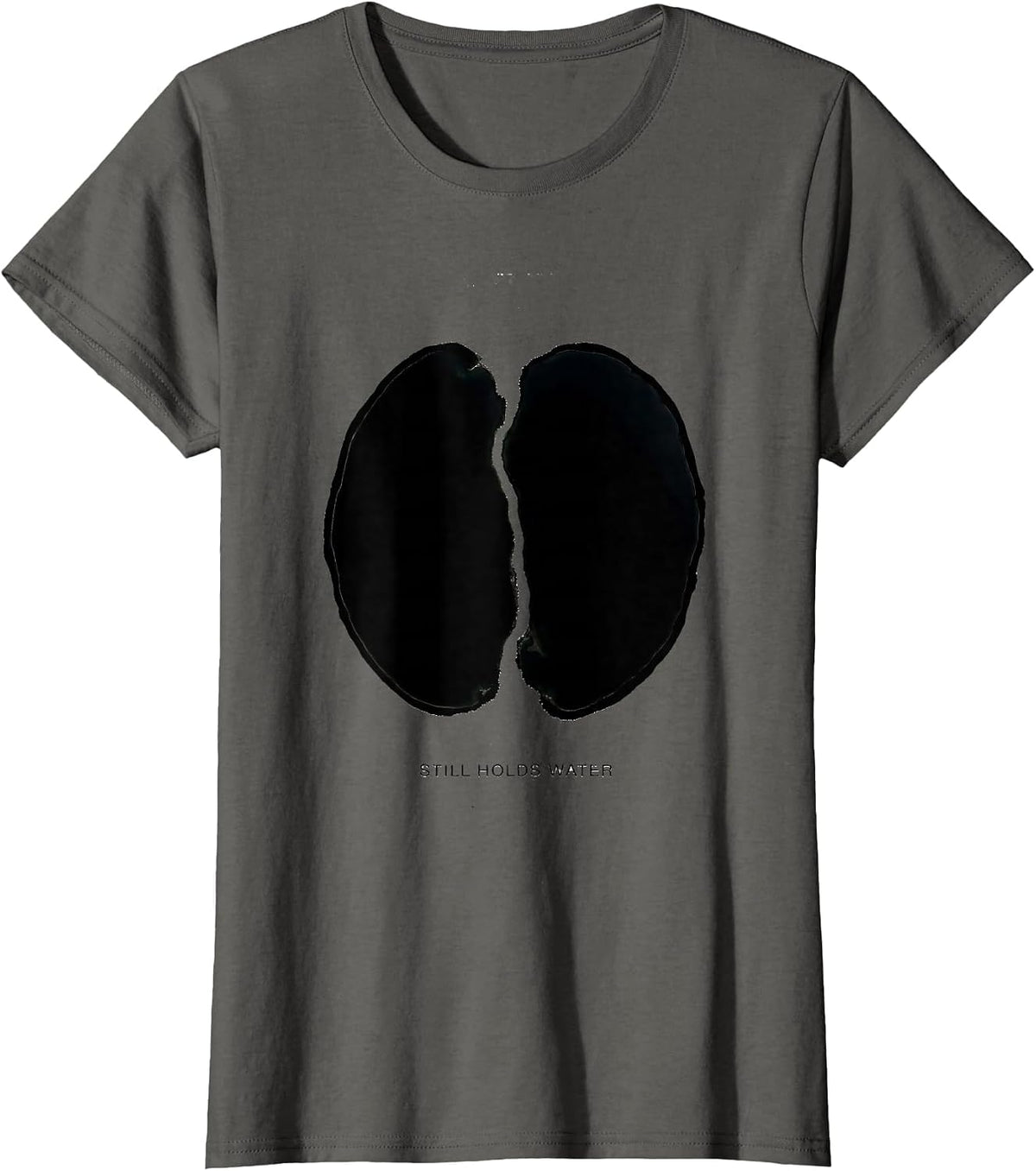 Women's Still Holds Water Silly Political Satire Gulf Lake Renaming T-Shirt - Asphalt Grey