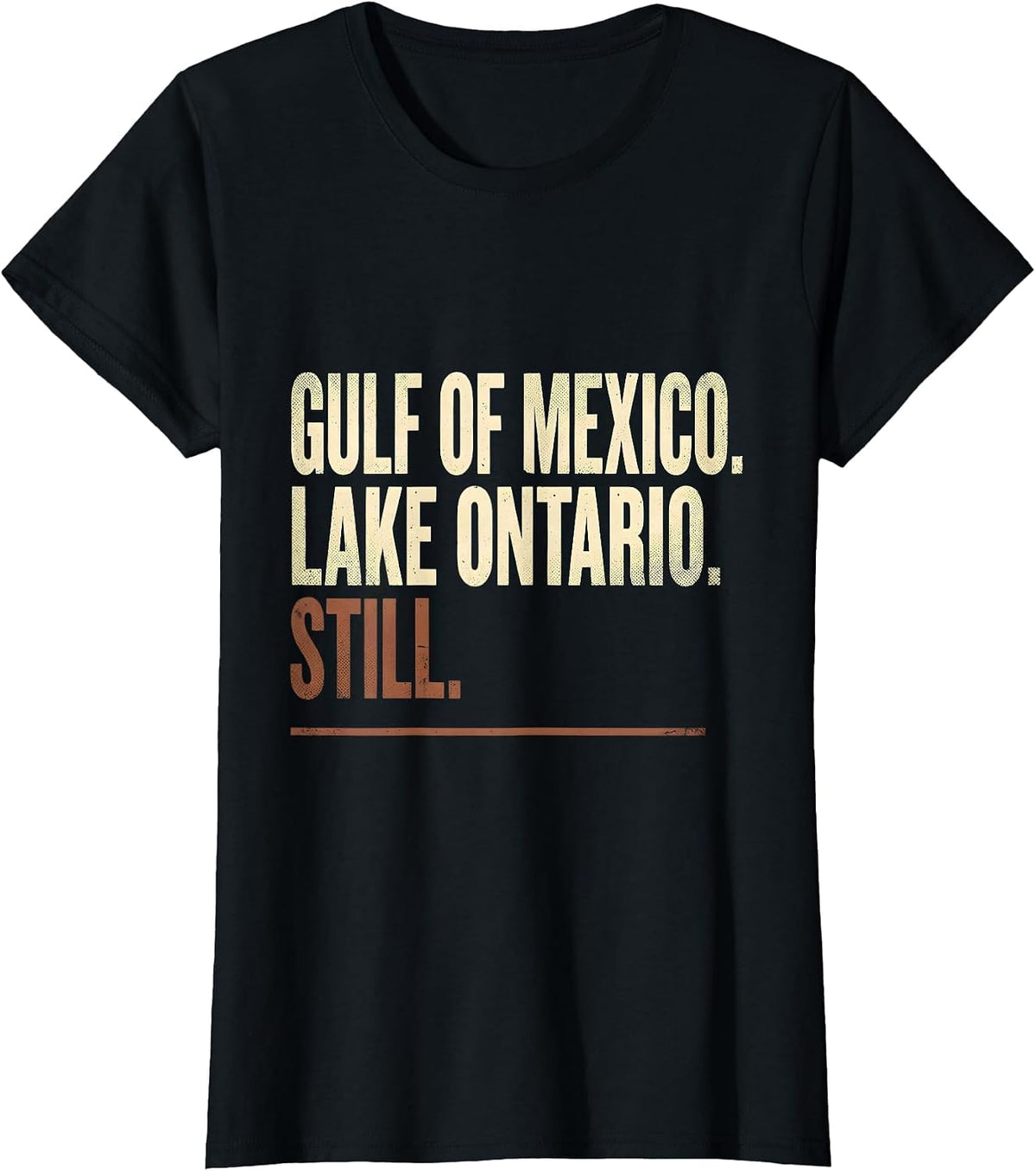 Gulf of Mexico Lake Ontario Still Distressed Political T-Shirt - Black