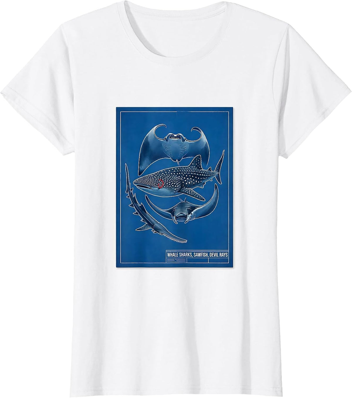Whale Sharks Sawfish Devil Rays Technical Blueprint Marine T-Shirt - White