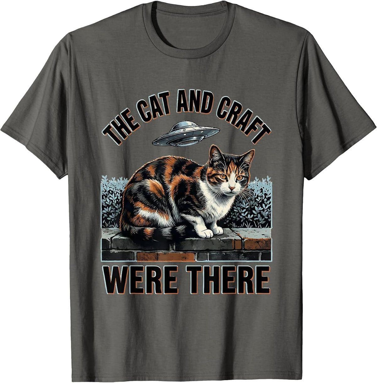 The Cat And Craft Were There Funny Alien UFO Cat Meme T-Shirt - Asphalt Grey
