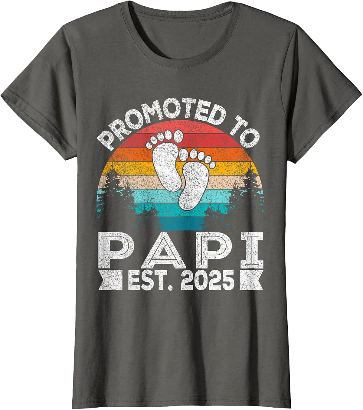Promoted to Papi Est. 2025 First Time Grandpa Retro T-Shirt - Asphalt Grey