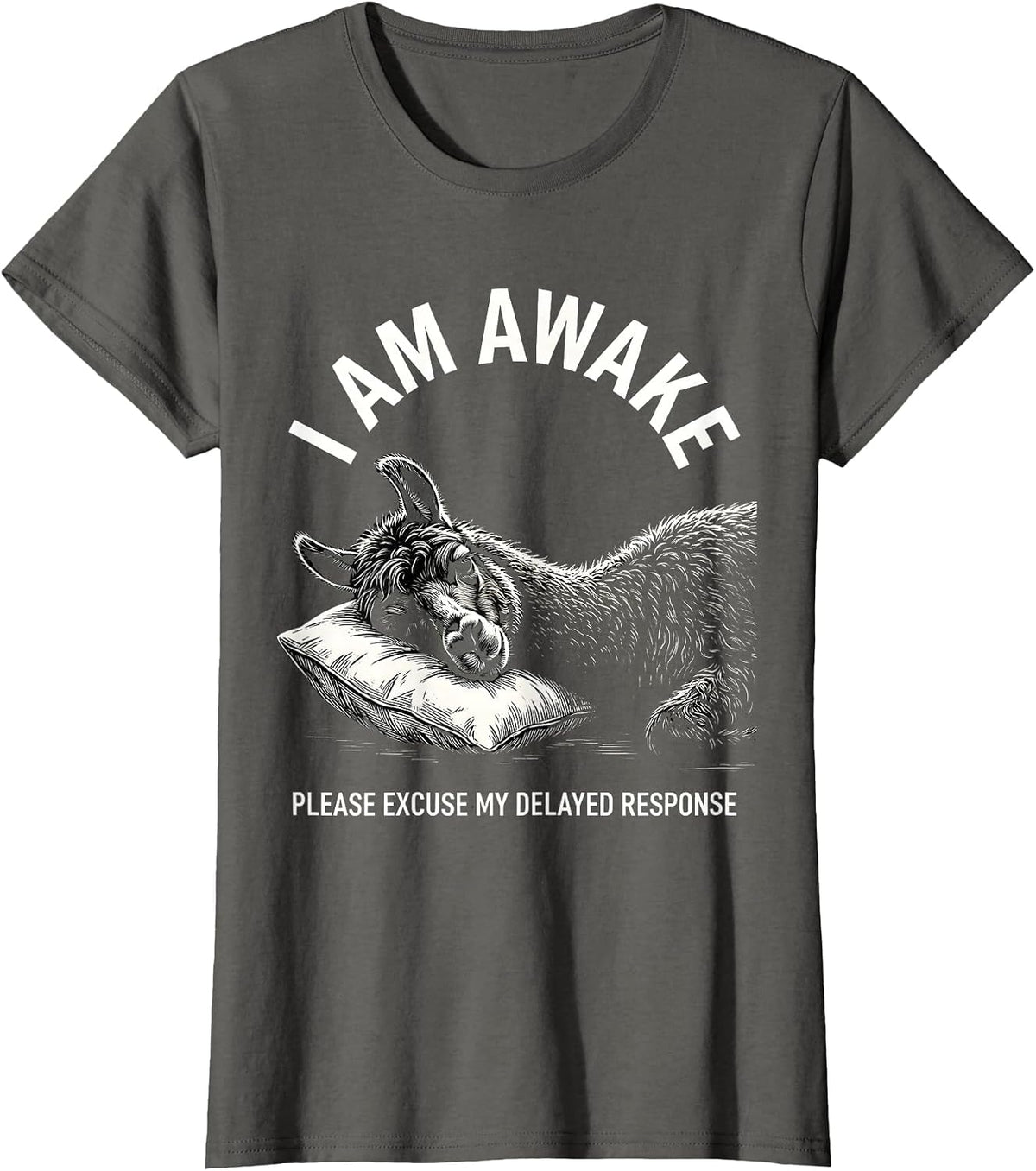 Women's I Am Awake Please Excuse My Delayed Response Funny T-Shirt - Asphalt Grey