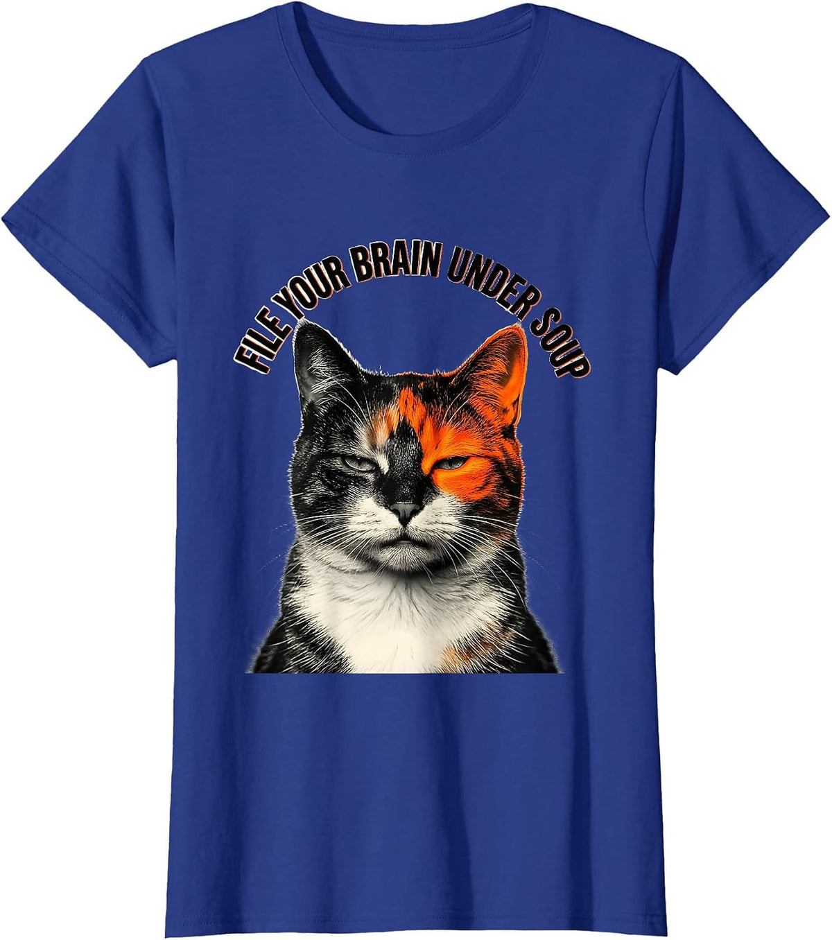 Women's File Your Brain Under Soup Funny Cat Meme Humor T-Shirt - Royal Blue
