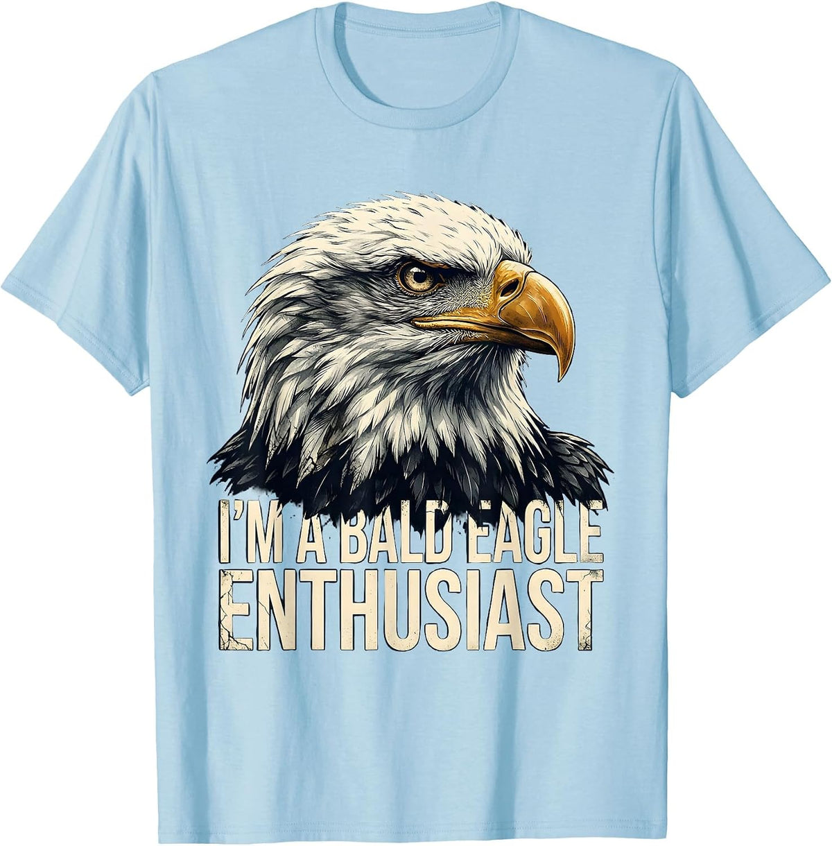 Men's I'm A Bald Eagle Enthusiast Vintage Retro Patriotic Novelty T-Shirt - Baby Blue