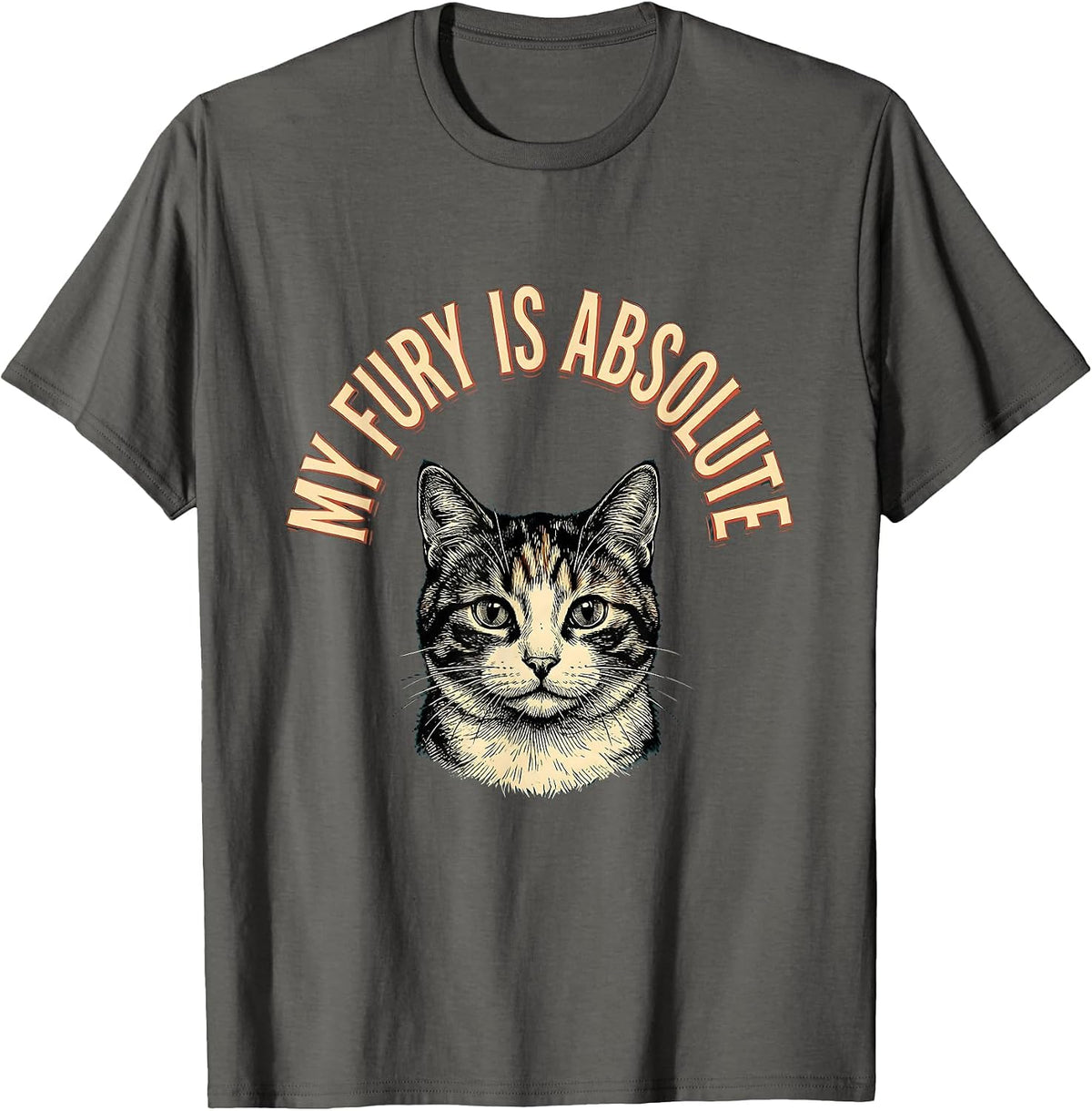 My Fury Is Absolute Funny Cat Meme Sarcastic Humor T-Shirt - Asphalt Grey