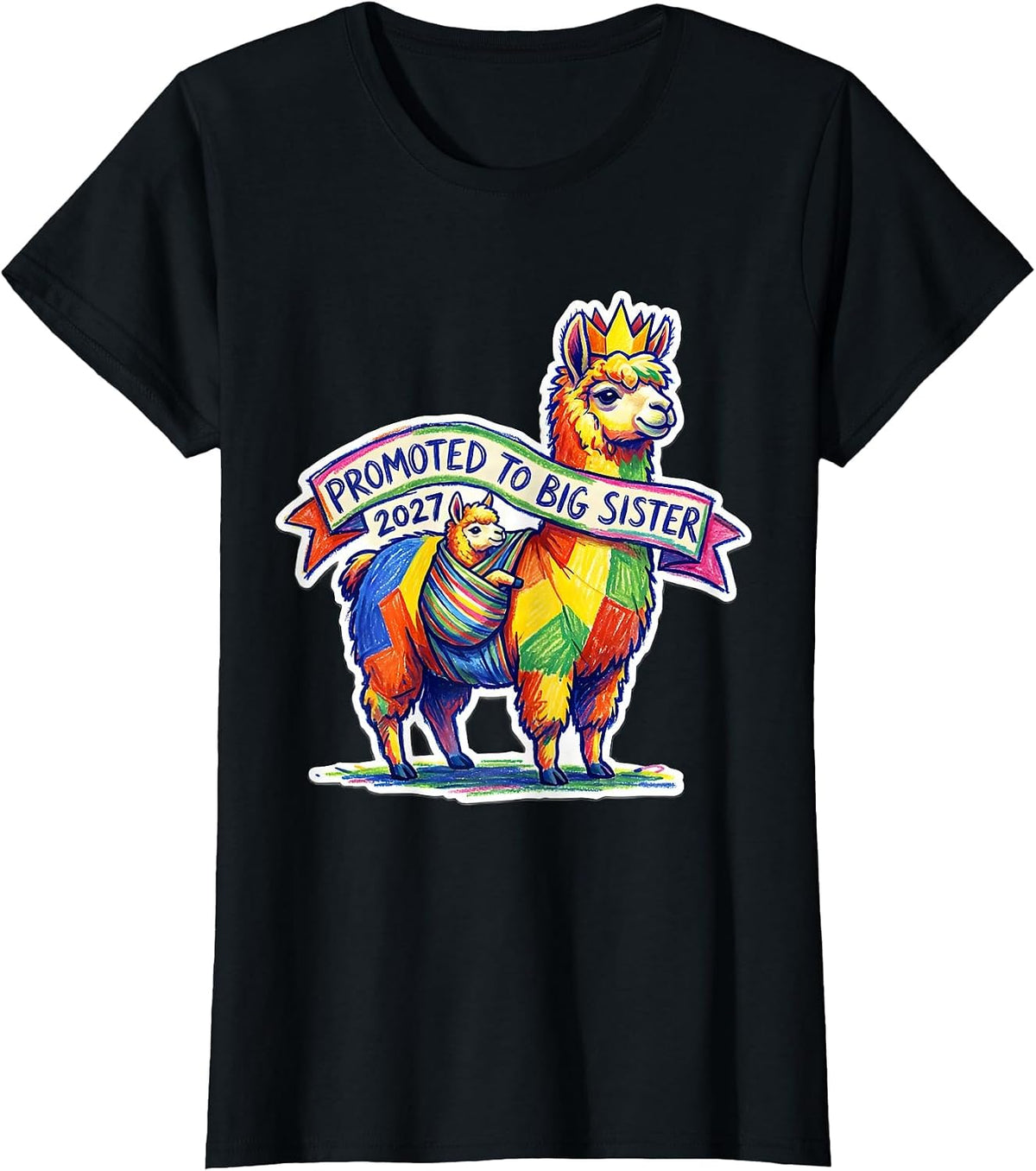 Promoted To Big Sister 2027 Funny Sibling Gift Novelty T-Shirt - Black