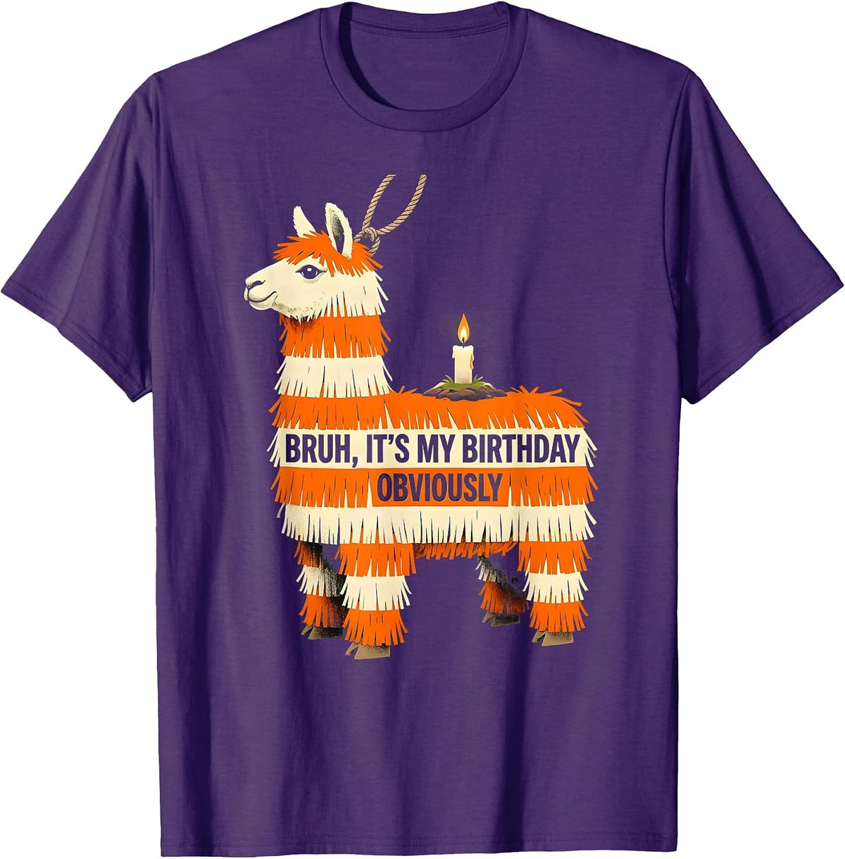 Bruh It's My Birthday Obviously Funny Llama Pinata Party T-Shirt - Purple