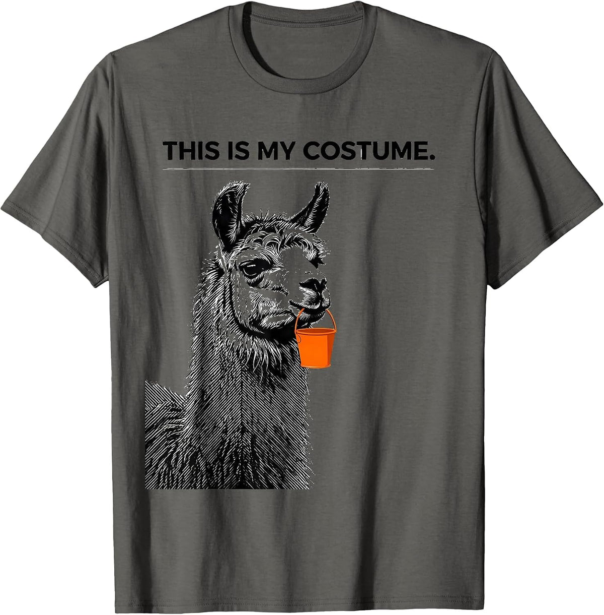 Men's This Is My Costume Funny Llama Halloween Animal Lover T-Shirt - Asphalt Grey