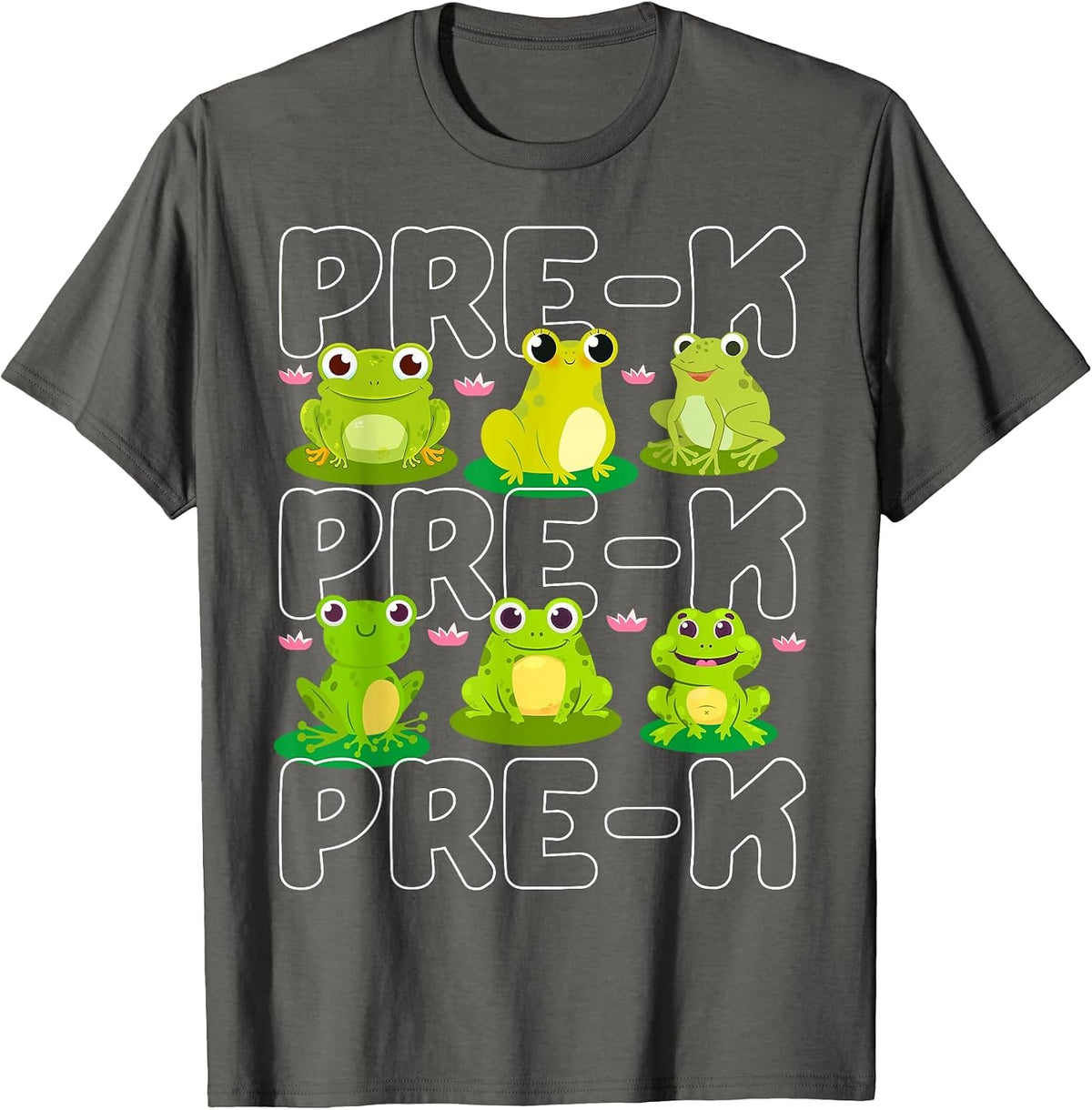 Pre-K Teacher Frog Pet Animal Lover Teaching School Student T-Shirt - Asphalt Grey