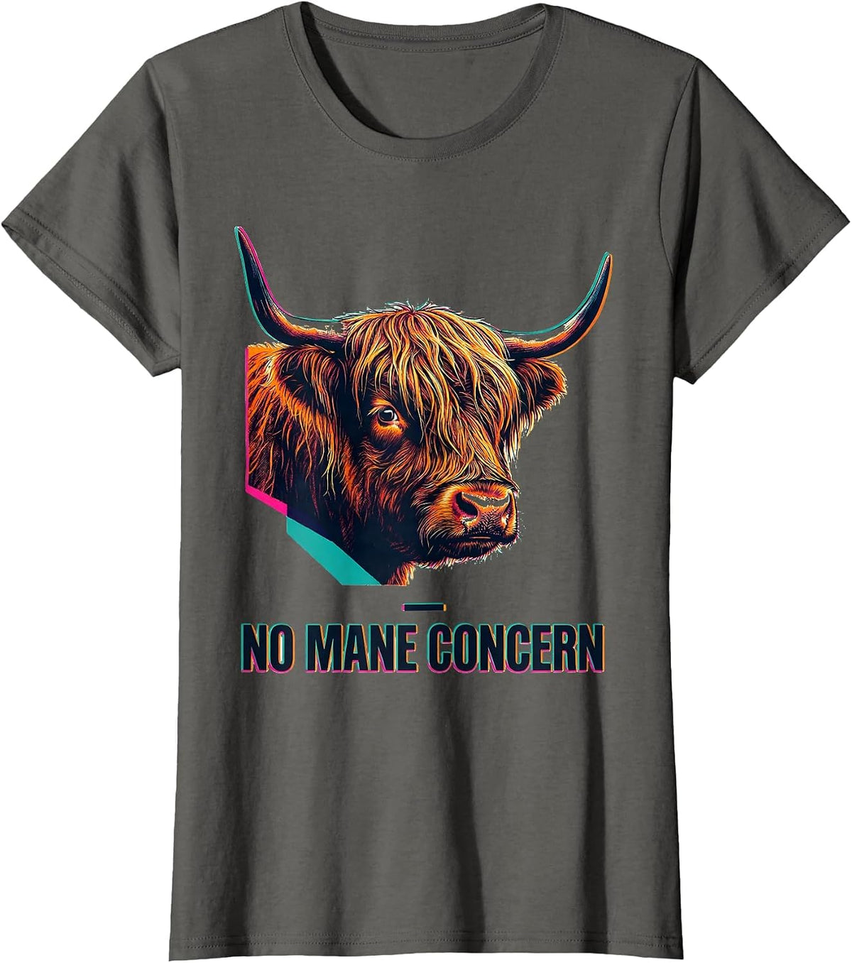 Women's No Mane Concern Funny Highland Cow Farm Animal Lover Humor T-Shirt - Asphalt Grey