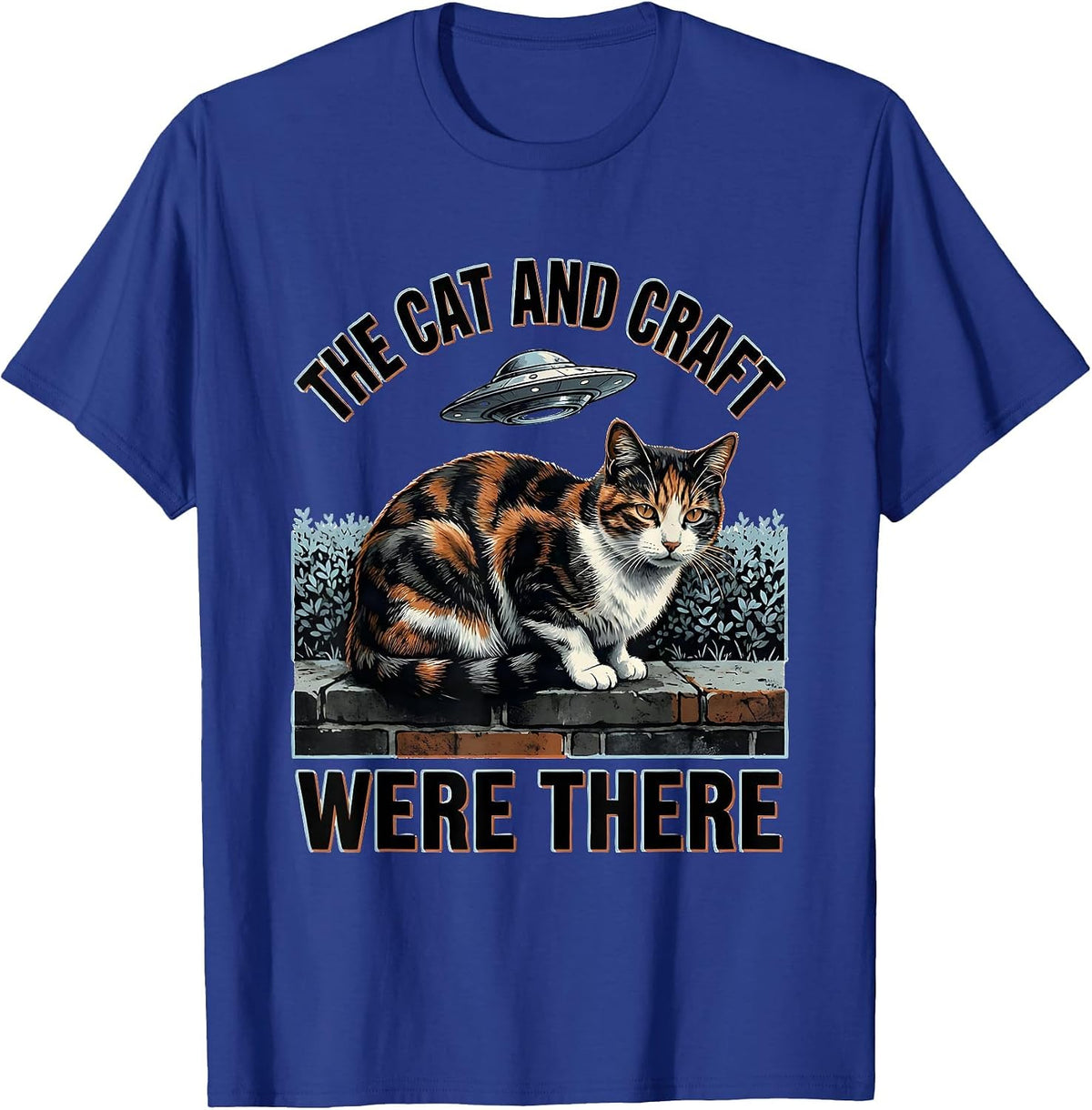 The Cat And Craft Were There Funny Alien UFO Cat Meme T-Shirt - Royal Blue