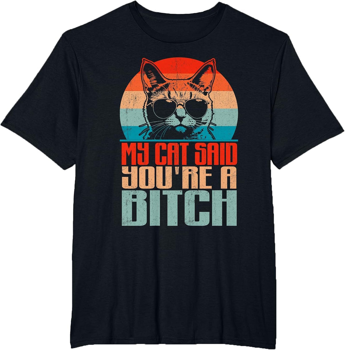 Retro My Cat Said You're a Bitch Funny Cat Lover Sarcastic T-Shirt - Black