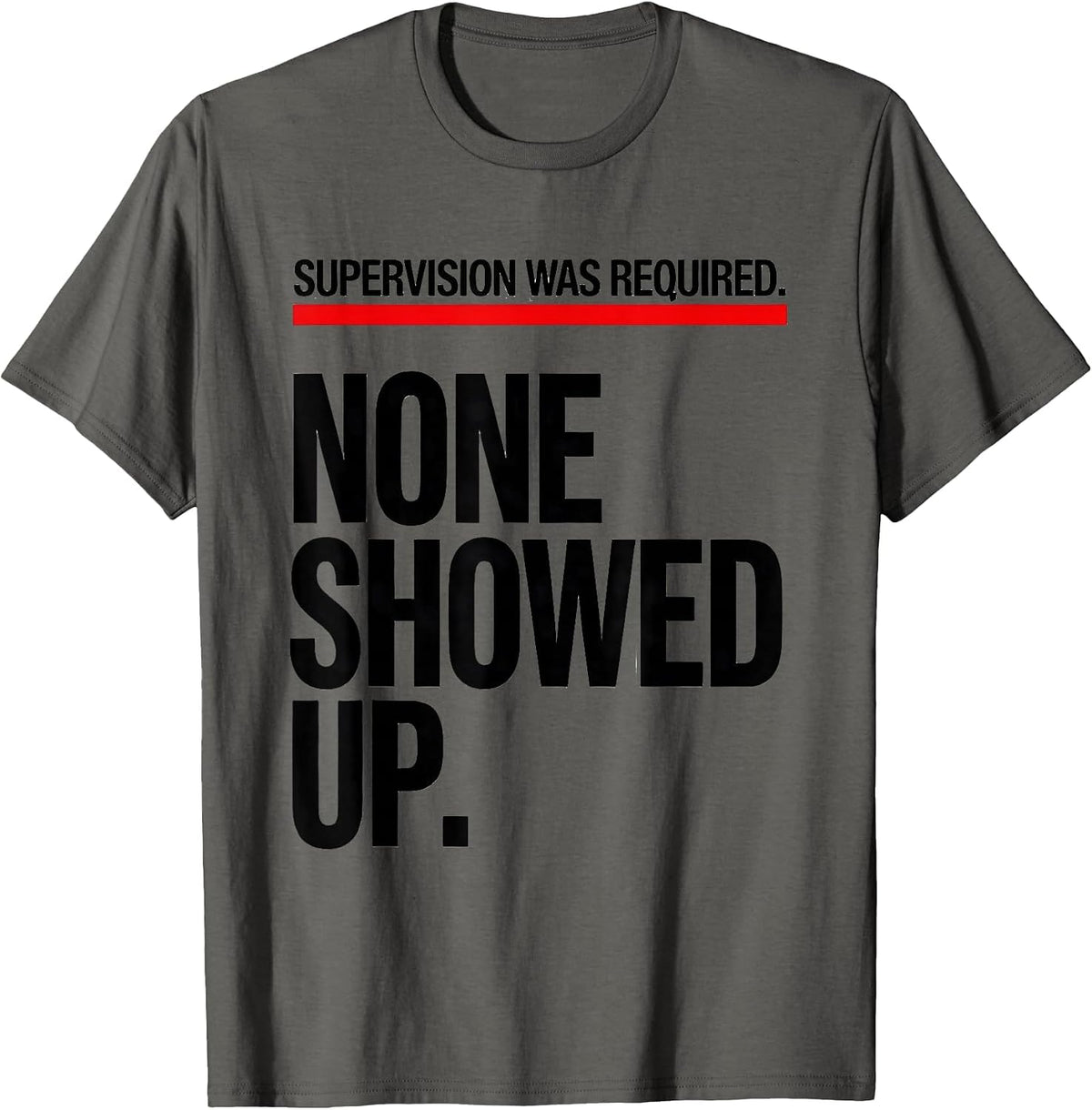 Supervision Was Required. None Showed Up. Funny T-Shirt - Asphalt Grey