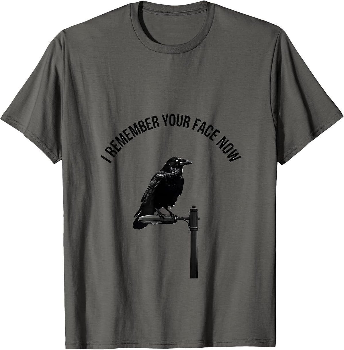 Men's I Remember Your Face Now Minimalist Crow Dark Humor Gothic T-Shirt - Asphalt Grey