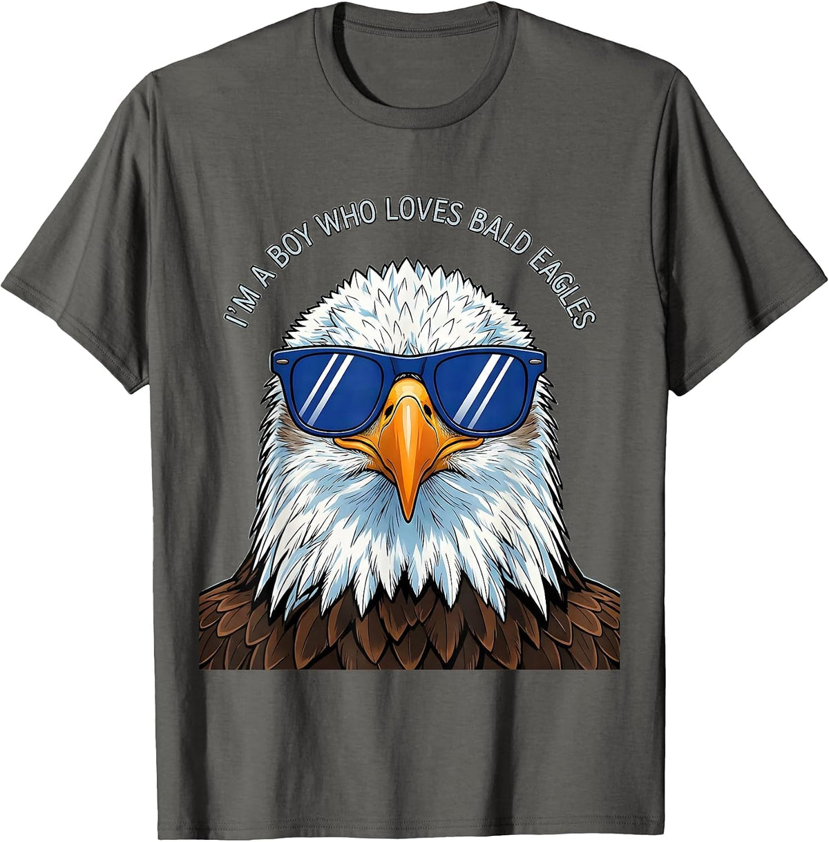 I'm A Boy Who Loves Bald Eagles Funny Bird Lover Humor T-Shirt - Asphalt Grey