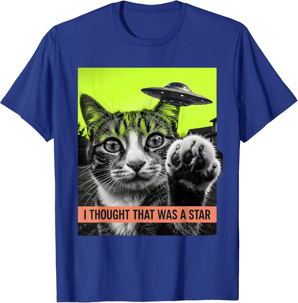 I Thought That Was A Star Funny Cat UFO Meme Cat Owner Gift T-Shirt - Royal Blue