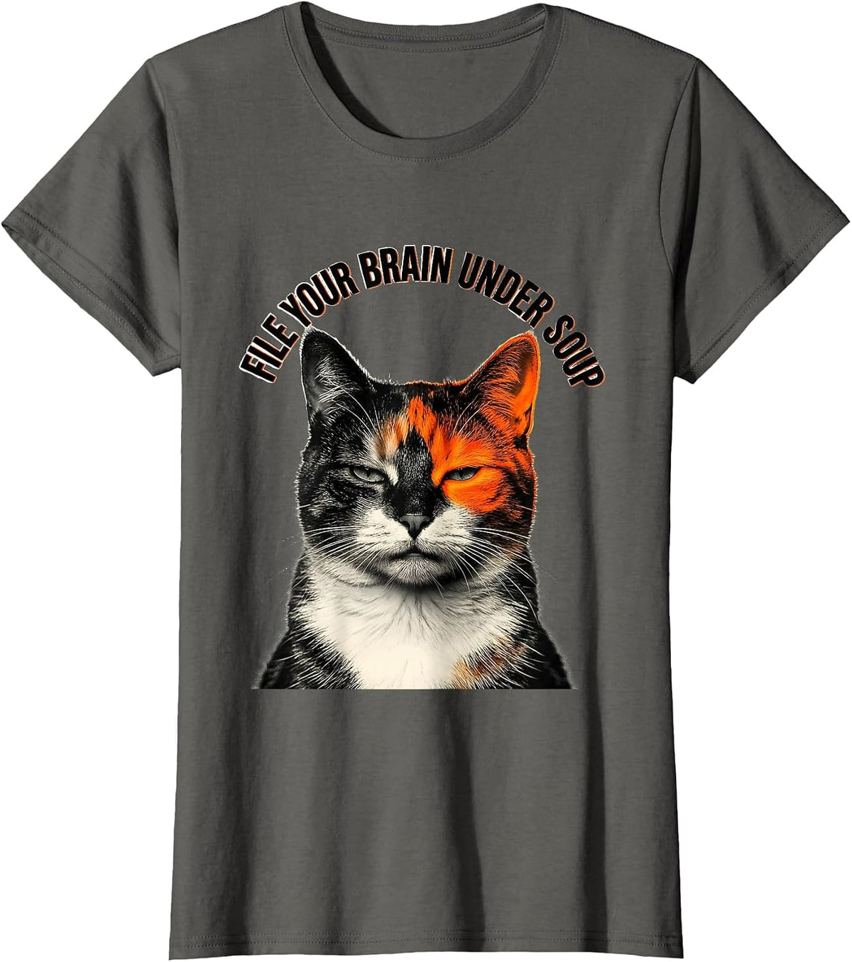 Women's File Your Brain Under Soup Funny Cat Meme Humor T-Shirt - Asphalt Grey