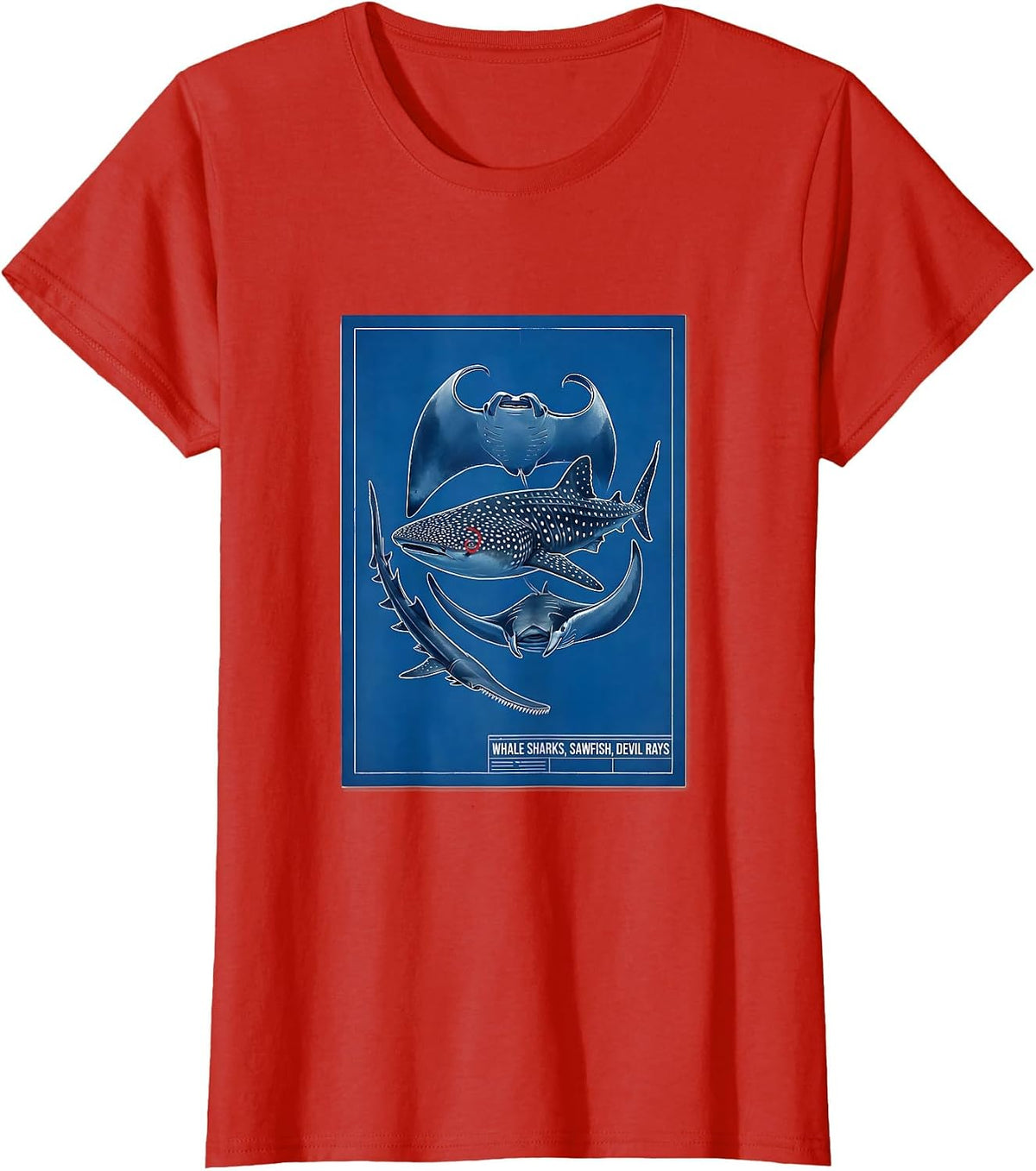 Whale Sharks Sawfish Devil Rays Technical Blueprint Marine T-Shirt - Red