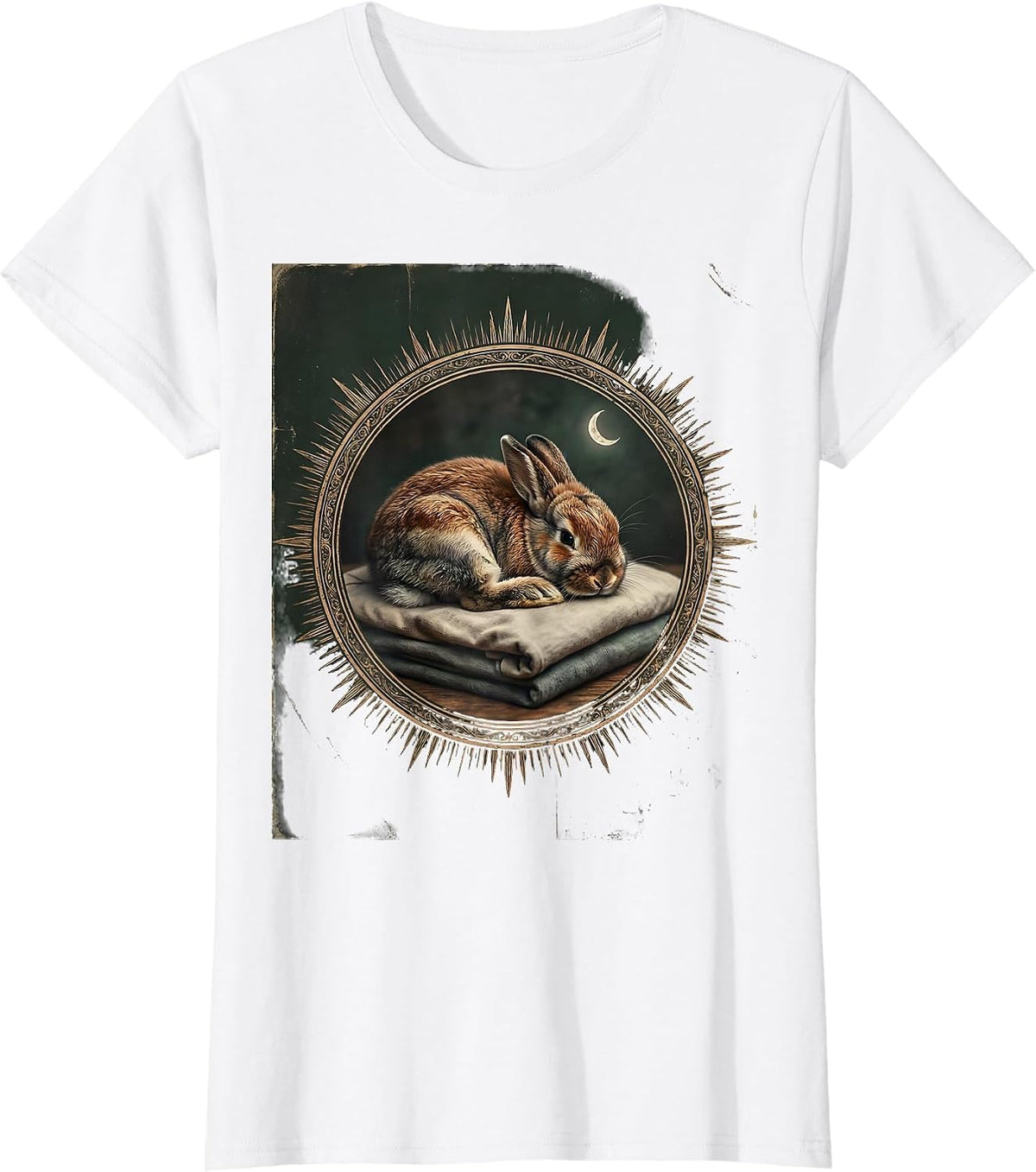 Women's Sleeping Holland Lop Vintage Pet Lover Cozy T-Shirt - White