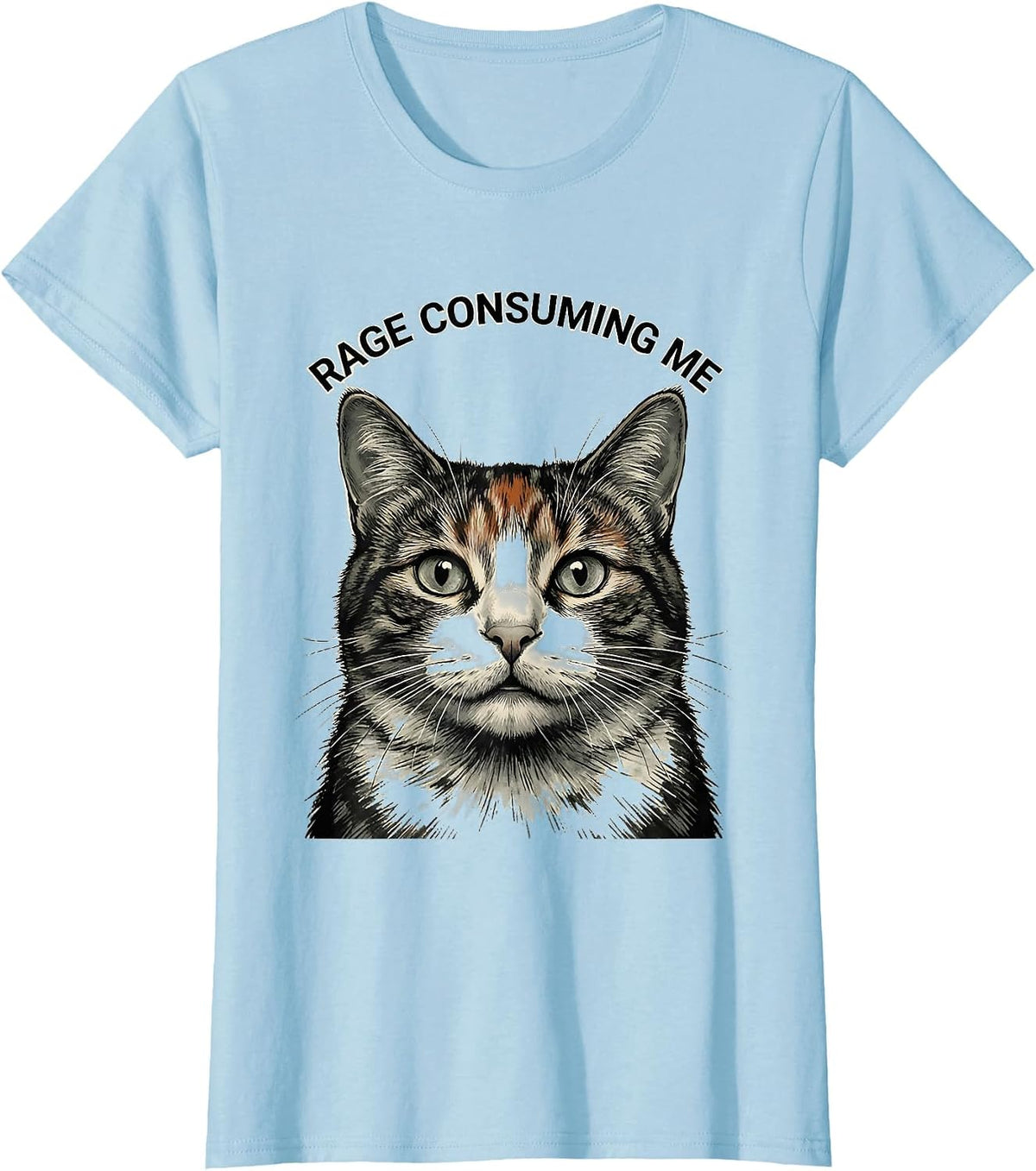 Rage Consuming Me Funny Cat Meme Silly Staring Cat Lover T-Shirt - Baby Blue