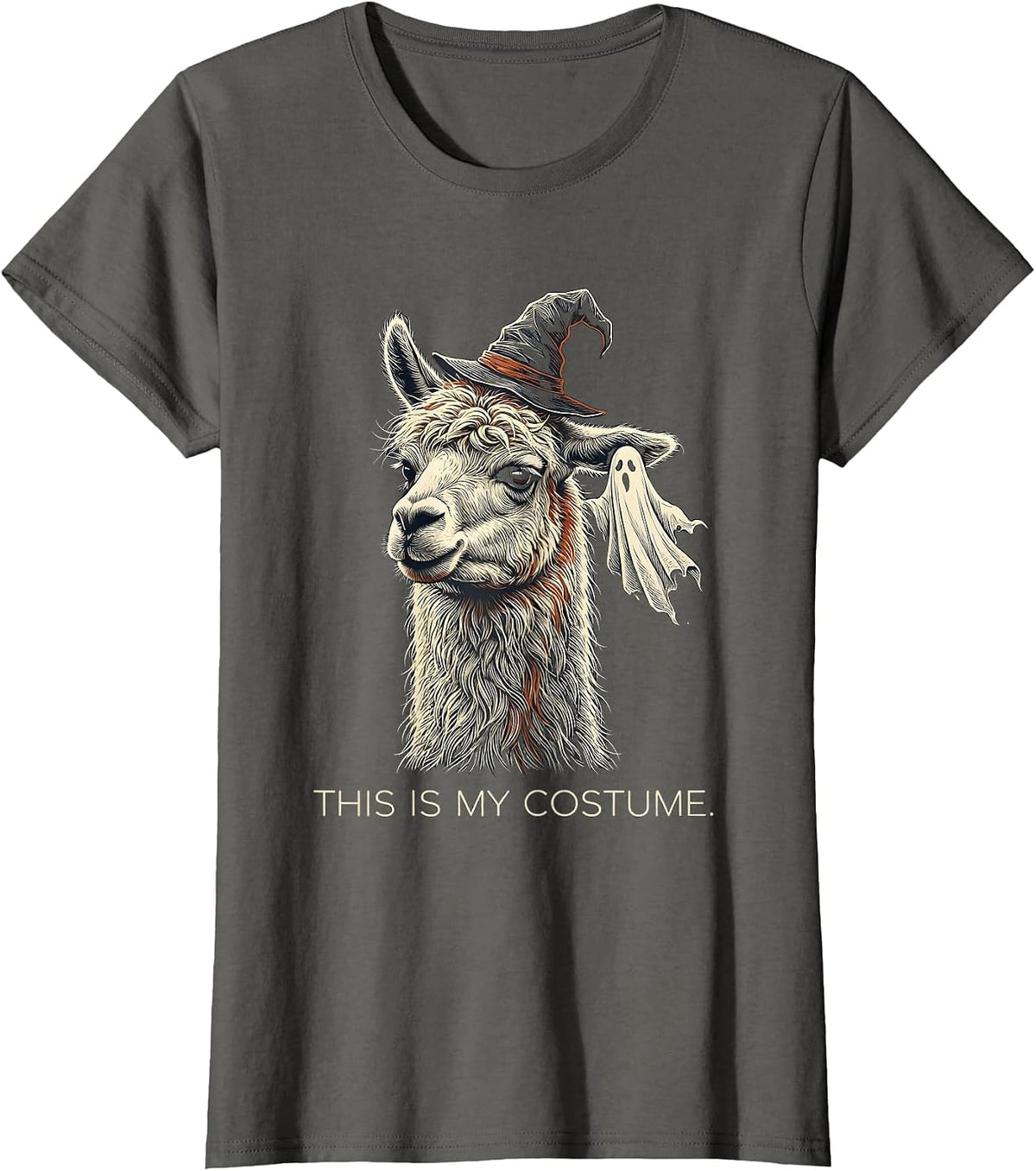 Women's This Is My Costume Funny Llama Halloween Novelty T-Shirt - Asphalt Grey