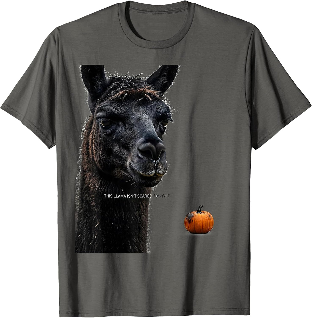 Men's This Llama Isn't Scared Tonight Funny Llama Lover Halloween T-Shirt - Asphalt Grey