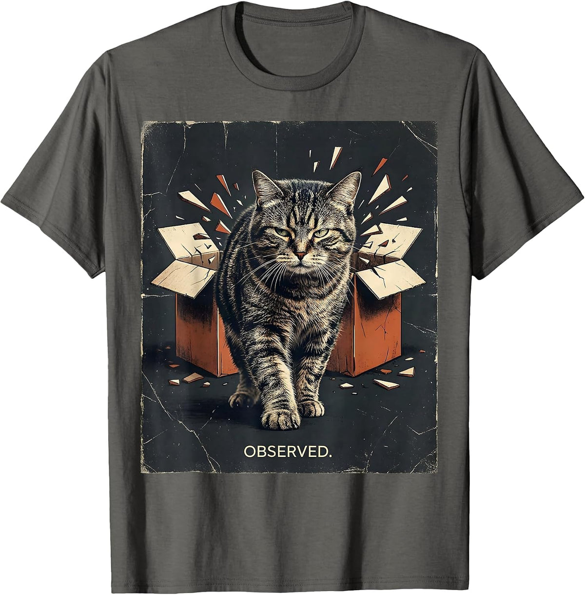 Unimpressed Cat Distressed Quantum Physics Humor T-Shirt - Asphalt Grey