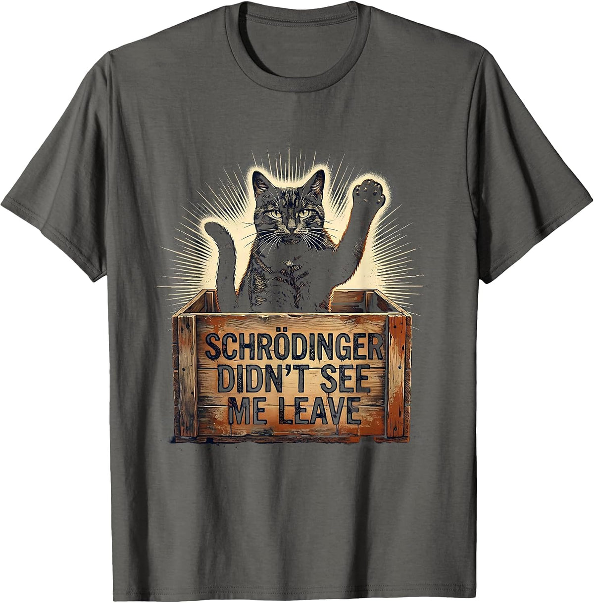 Schrödinger Didn't See Me Leave Vintage Cat Physics Humor T-Shirt - Asphalt Grey