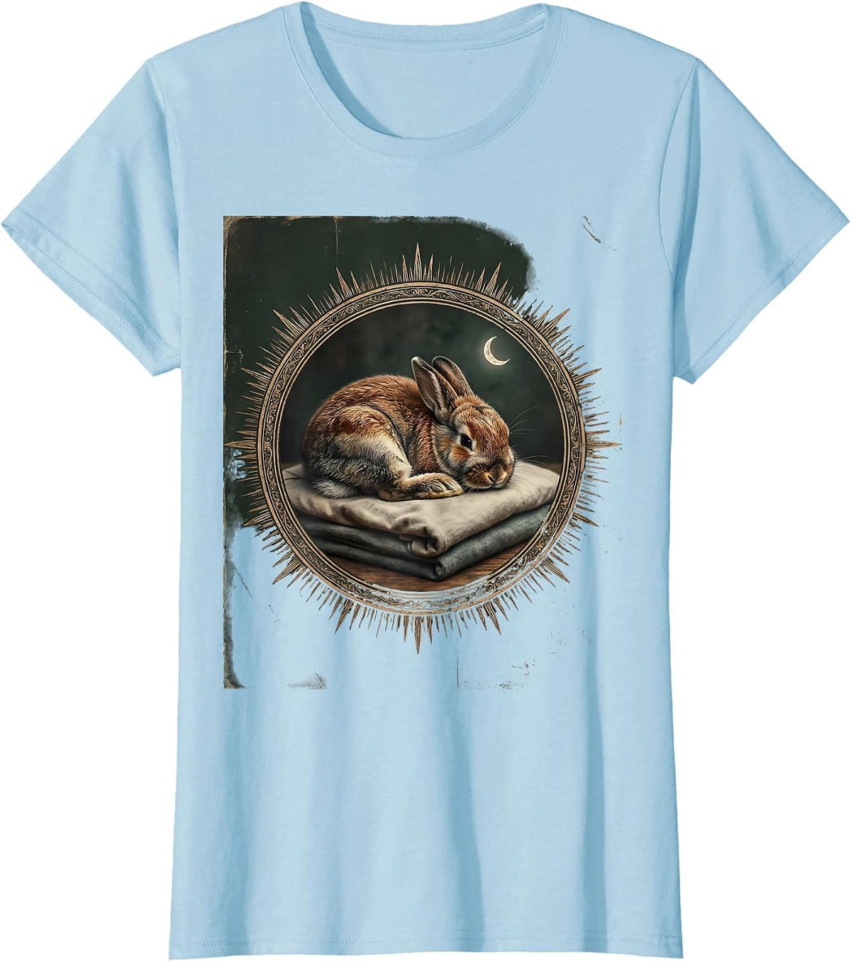Women's Sleeping Holland Lop Vintage Pet Lover Cozy T-Shirt - Baby Blue
