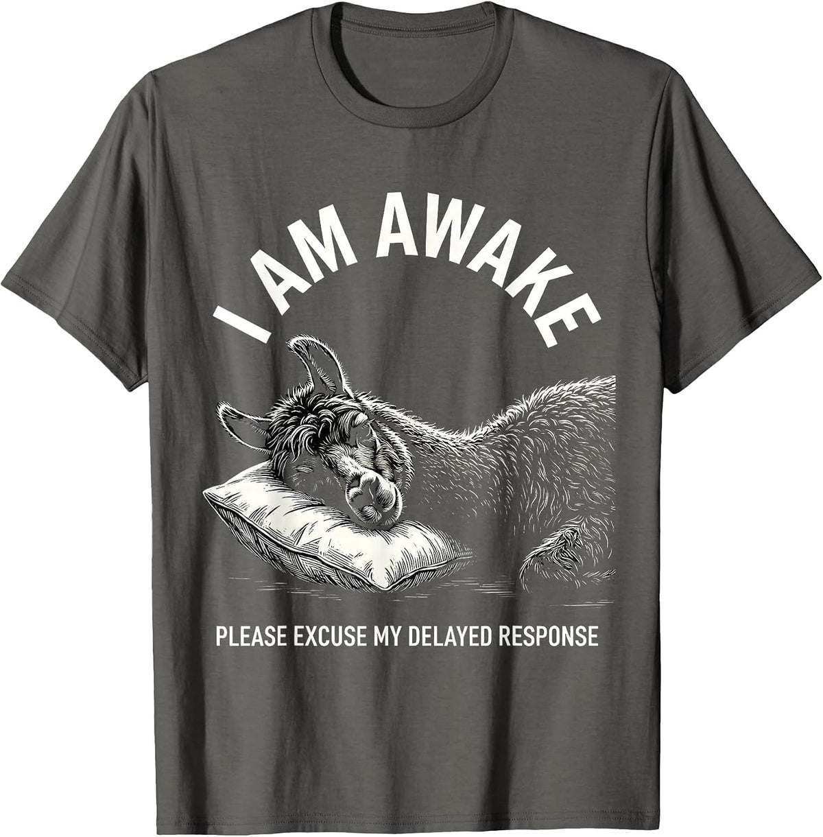 Men's I Am Awake Please Excuse My Delayed Response Funny T-Shirt - Asphalt Grey