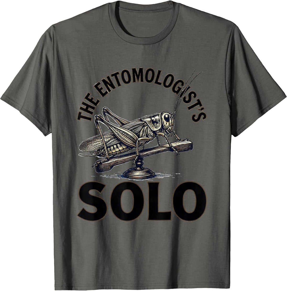 The Entomologist's Solo Vintage Entomology Bug Music Lover T-Shirt - Asphalt Grey