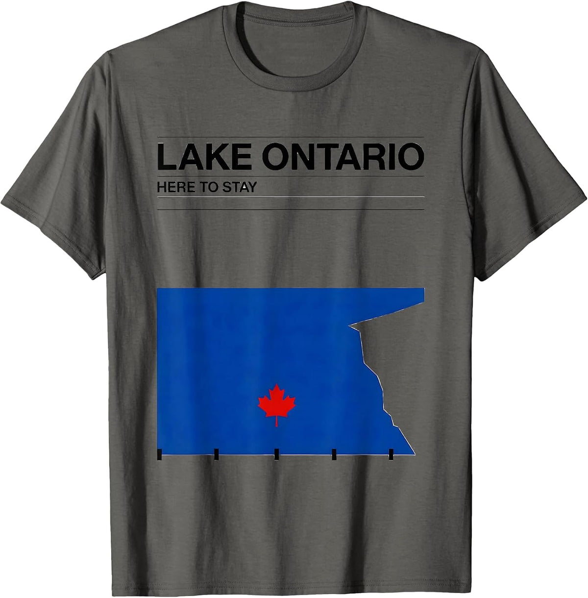 Lake Ontario, Here To Stay Funny Political Satire Canadian T-Shirt - Asphalt Grey