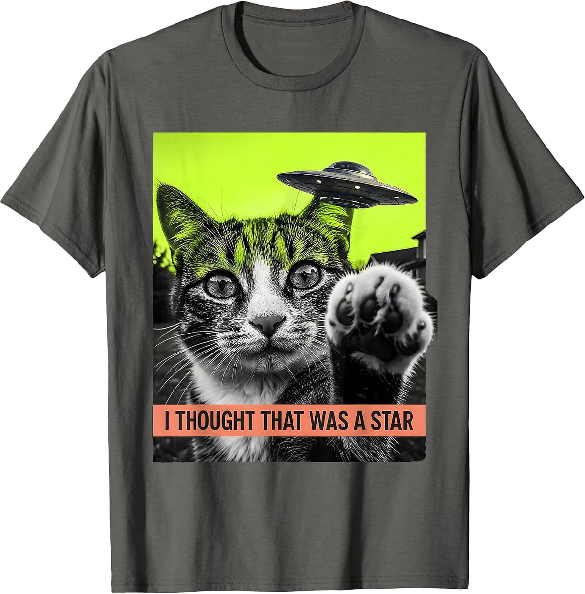 I Thought That Was A Star Funny Cat UFO Meme Cat Owner Gift T-Shirt - Asphalt Grey