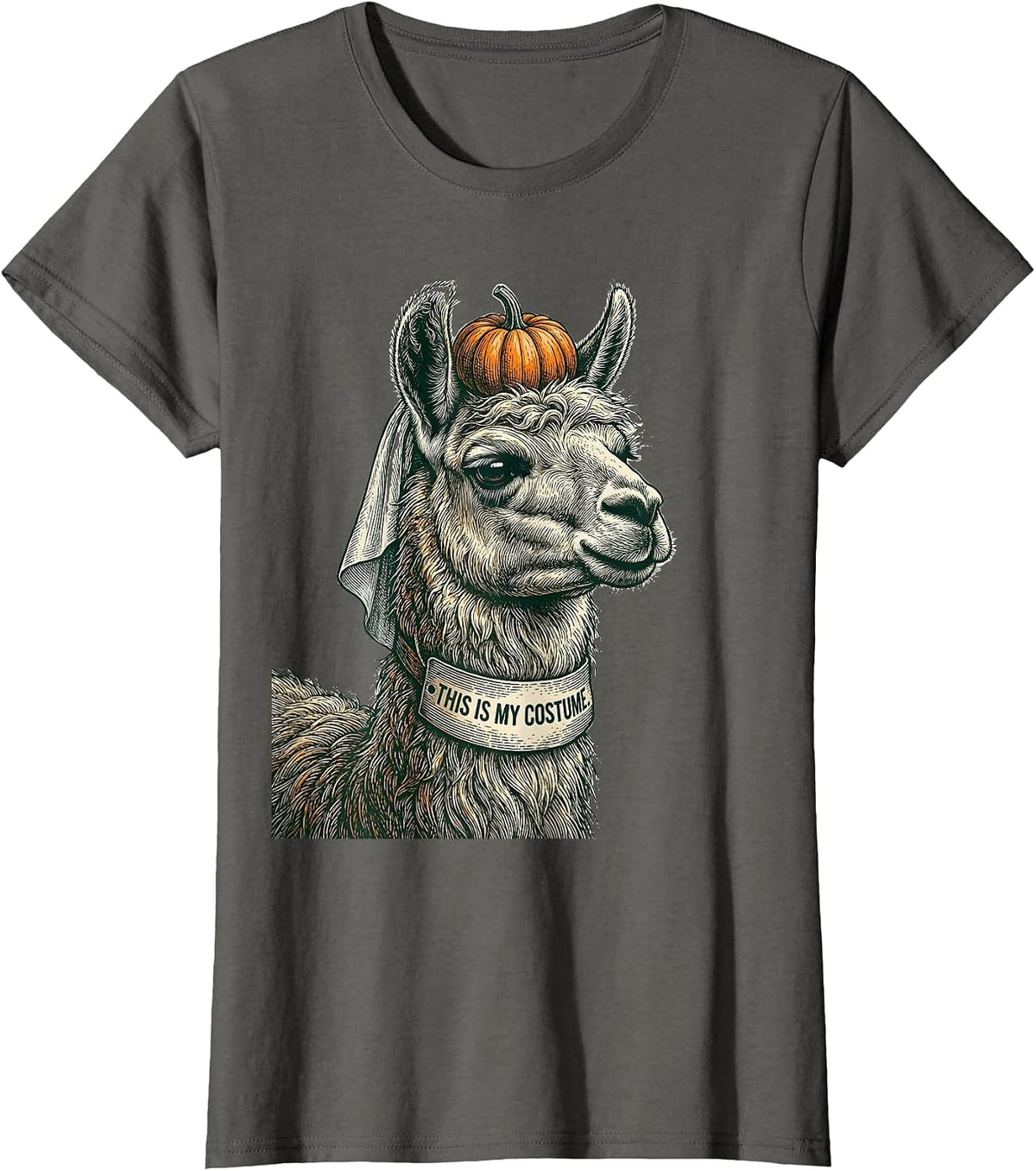 Women's This Is My Costume Funny Llama Halloween Party Novelty Humor T-Shirt - Asphalt Grey