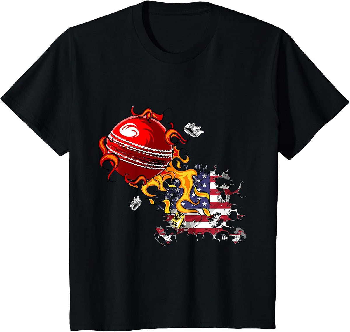 USA Cricket T-Shirt - Black