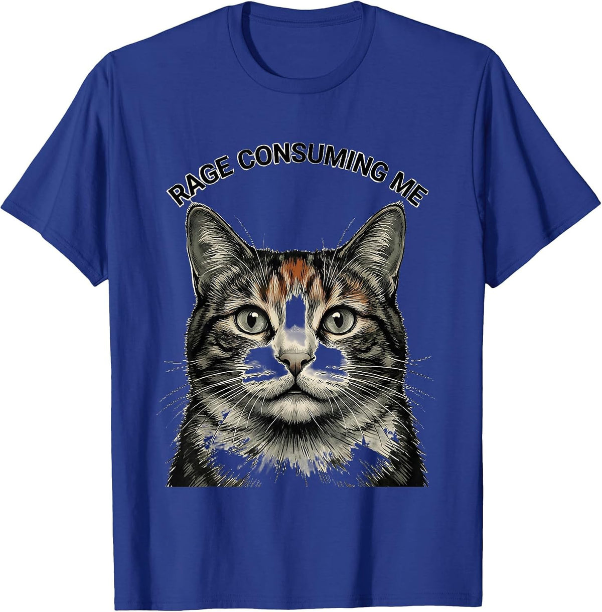 Rage Consuming Me Funny Cat Meme Silly Staring Cat Lover T-Shirt - Royal Blue
