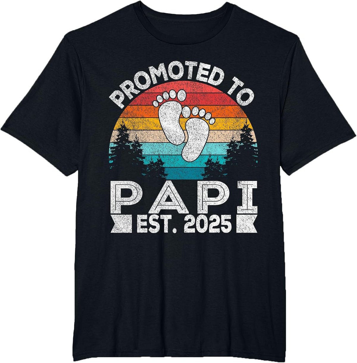 Promoted to Papi Est. 2025 First Time Grandpa Retro T-Shirt - Black