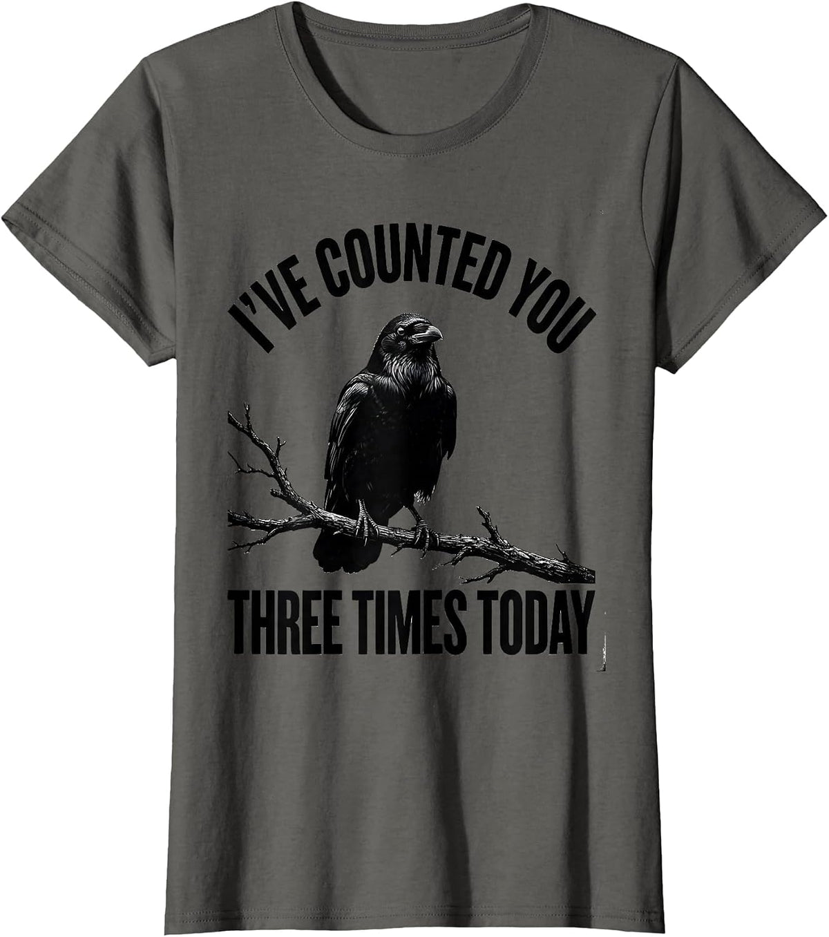Women's I've Counted You Three Times Today Dark Humor Gothic Crow T-Shirt - Asphalt Grey