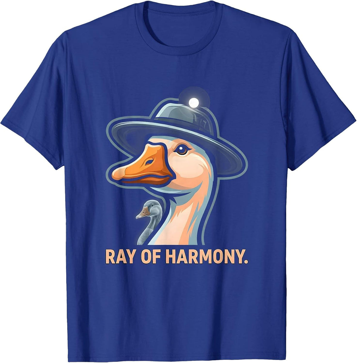 Ray of Harmony Funny Radiologic Technologist X-ray Tech Gift T-Shirt - Royal Blue