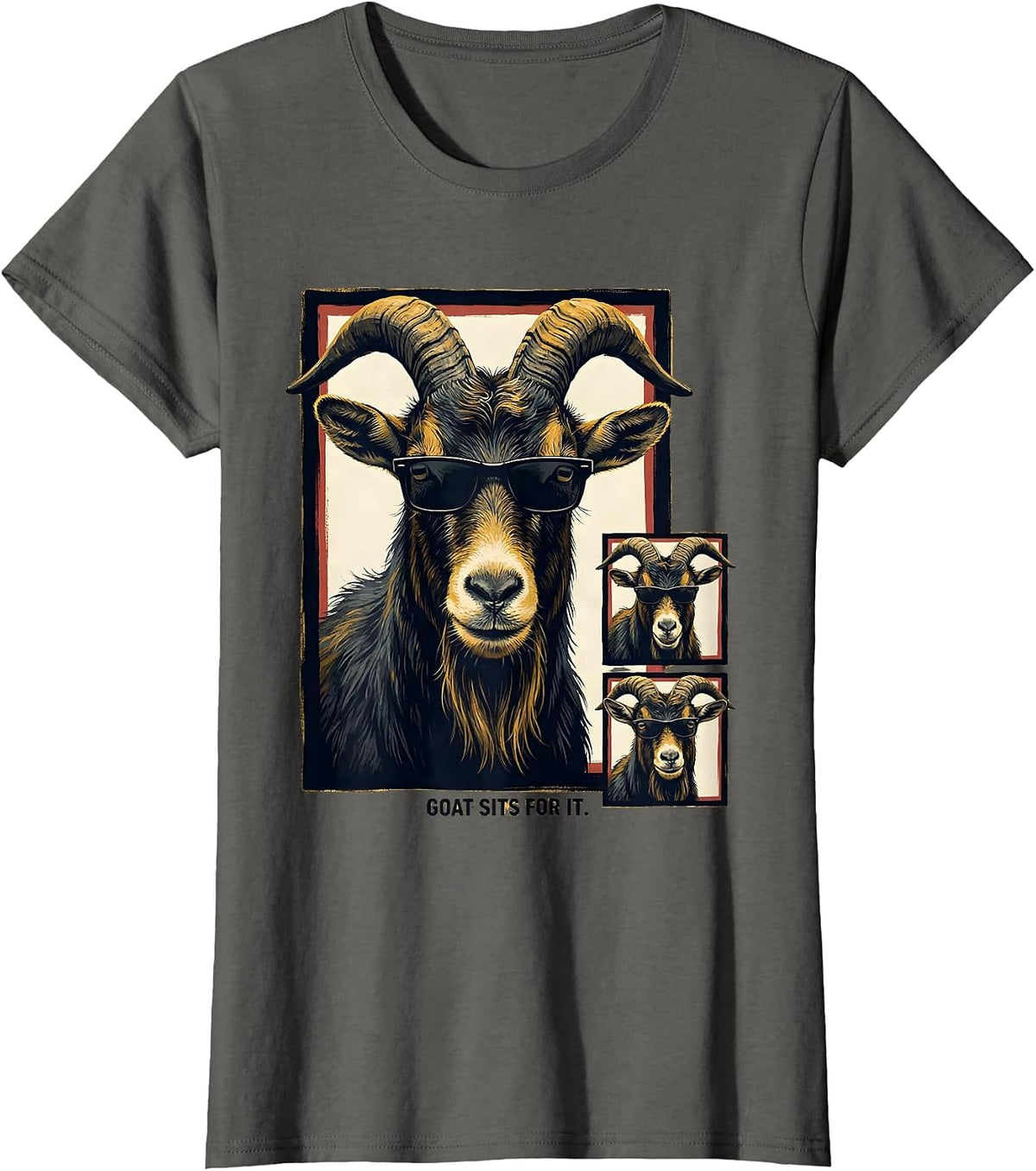 Women's Goat Sits For It Funny Farm Animal Portrait Photobooth T-Shirt - Asphalt Grey