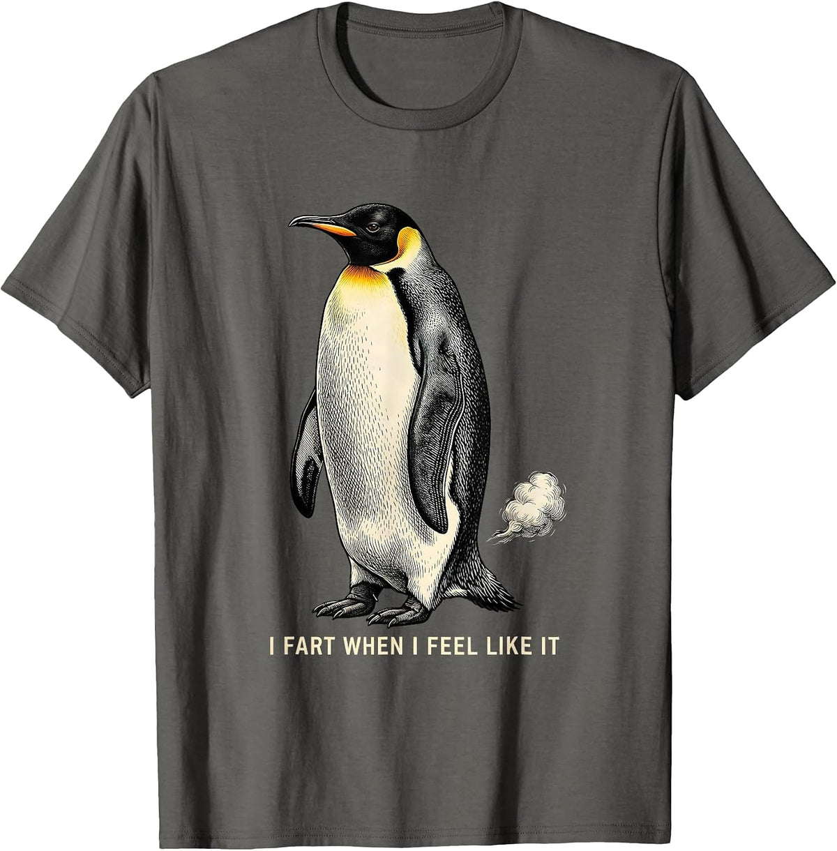 Men's I Fart When I Feel Like It Funny Penguin Fart Joke Dad Gift T-Shirt - Asphalt Grey