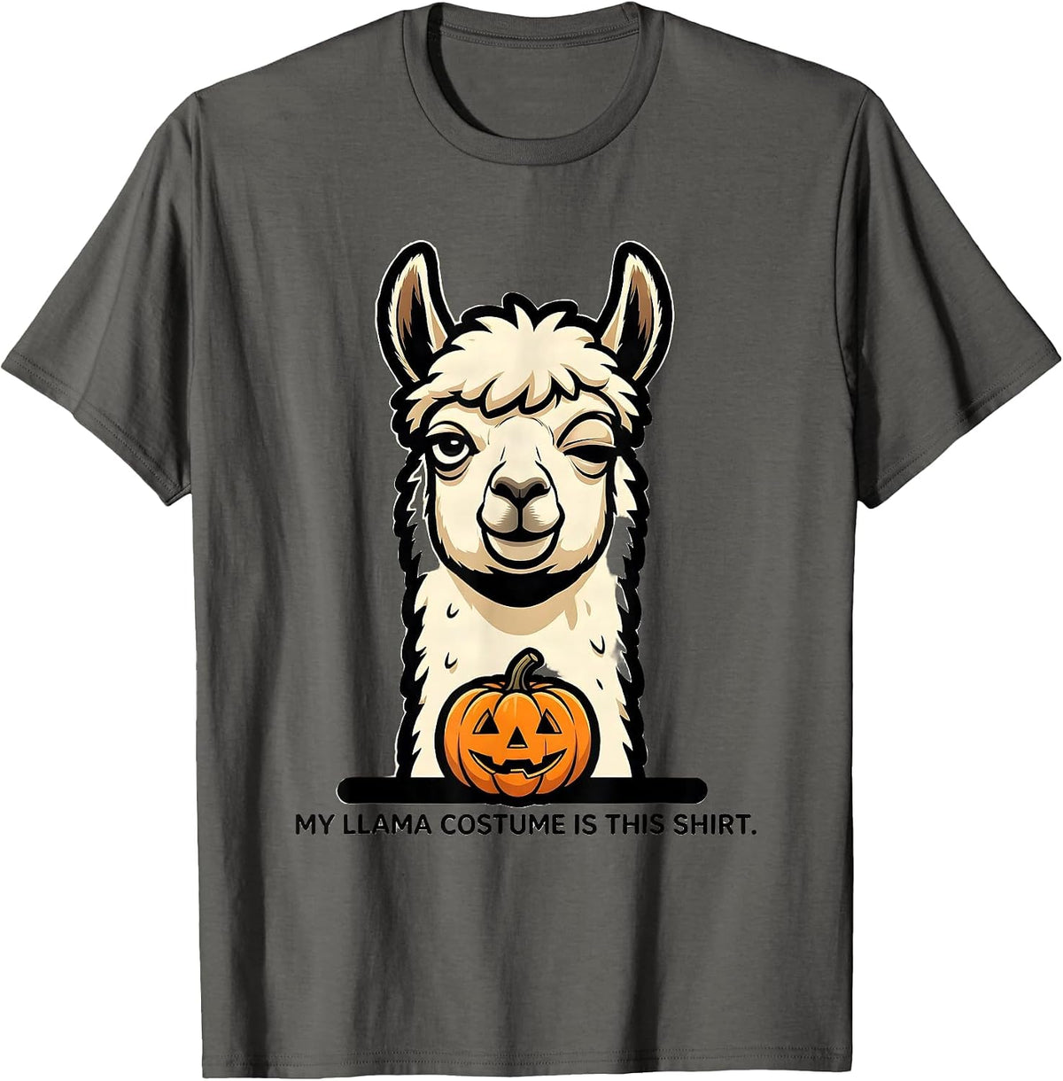 My Llama Costume Is This Shirt Funny Novelty Animal Lover T-Shirt - Asphalt Grey
