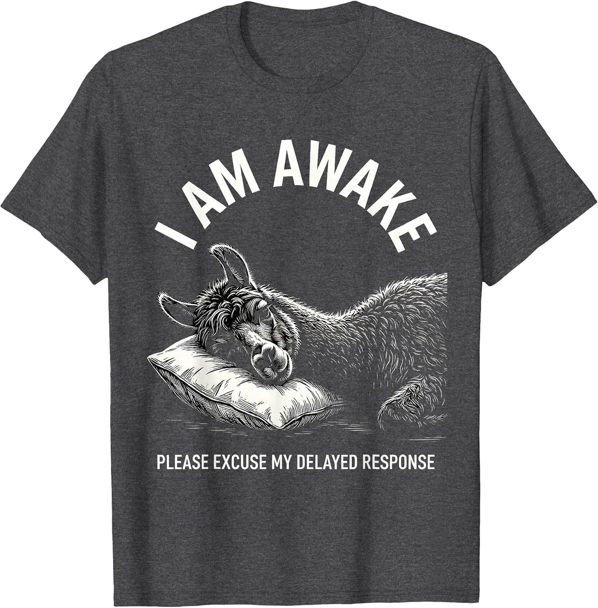 Men's I Am Awake Please Excuse My Delayed Response Funny T-Shirt - Dark Heather Grey