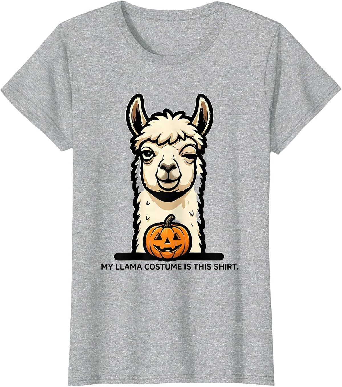My Llama Costume Is This Shirt Funny Novelty Animal Lover T-Shirt - Heather Grey