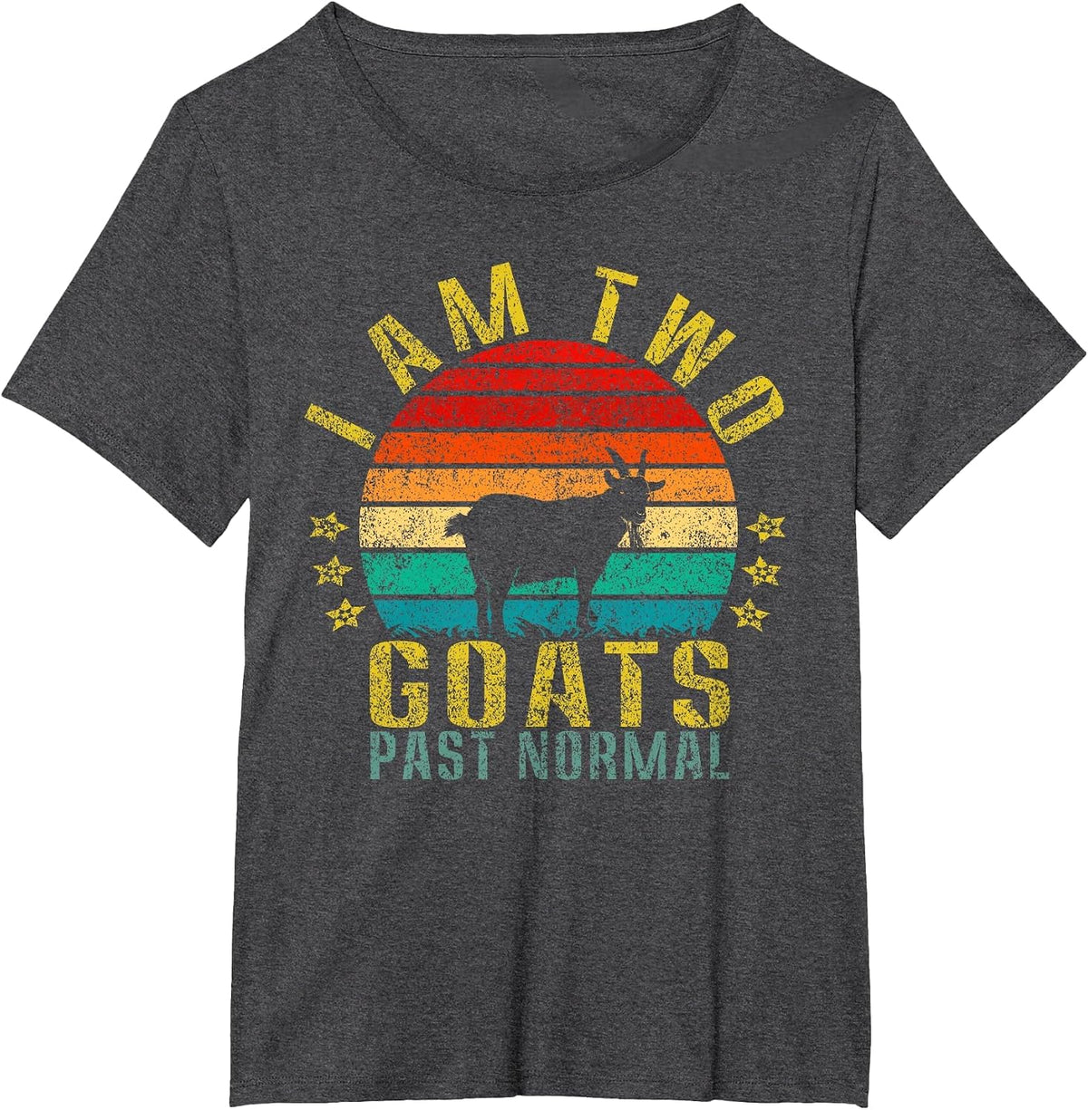 I Am Two Goats Past Normal Funny Retro T-Shirt - Dark Heather Grey