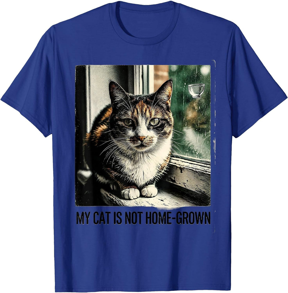 My Cat Is Not Home-Grown Vintage Funny Cat UFO Meme Gift T-Shirt - Royal Blue