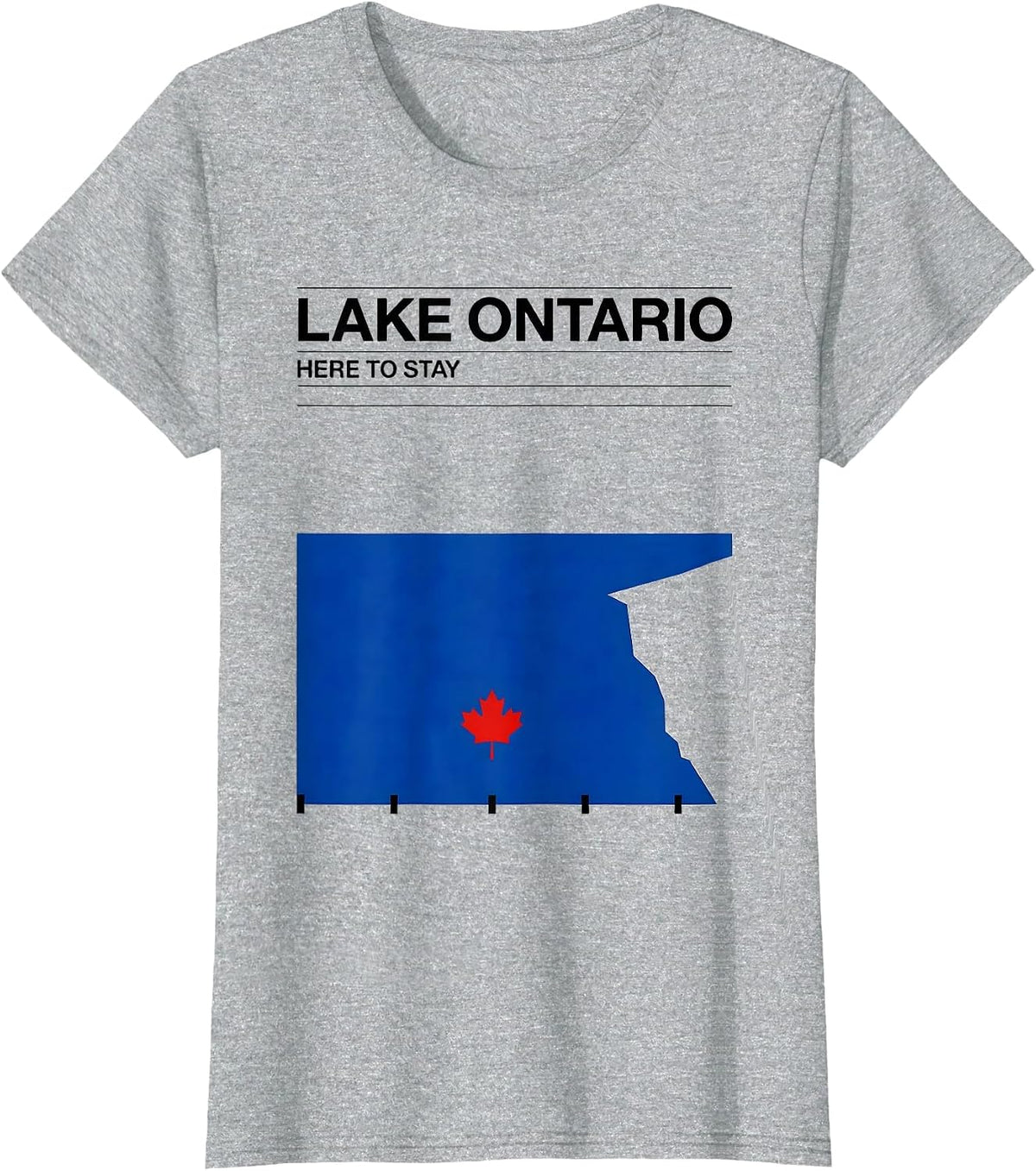 Lake Ontario, Here To Stay Funny Political Satire Canadian T-Shirt - Heather Grey