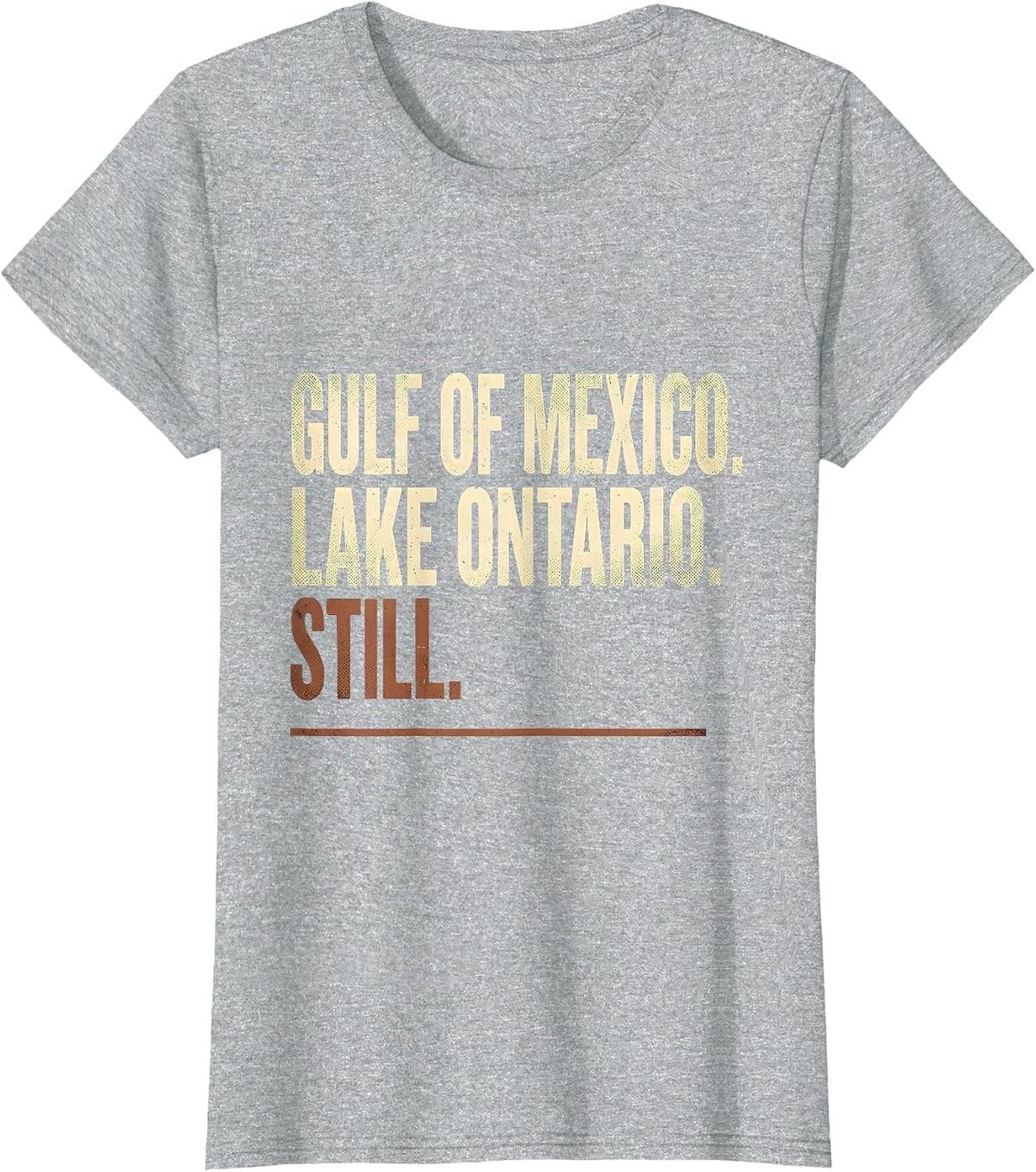 Gulf of Mexico Lake Ontario Still Distressed Political T-Shirt - Heather Grey