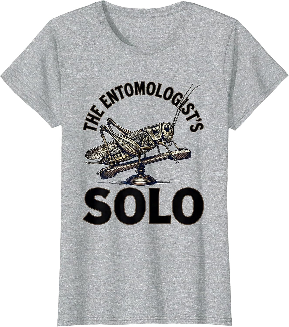 The Entomologist's Solo Vintage Entomology Bug Music Lover T-Shirt - Heather Grey